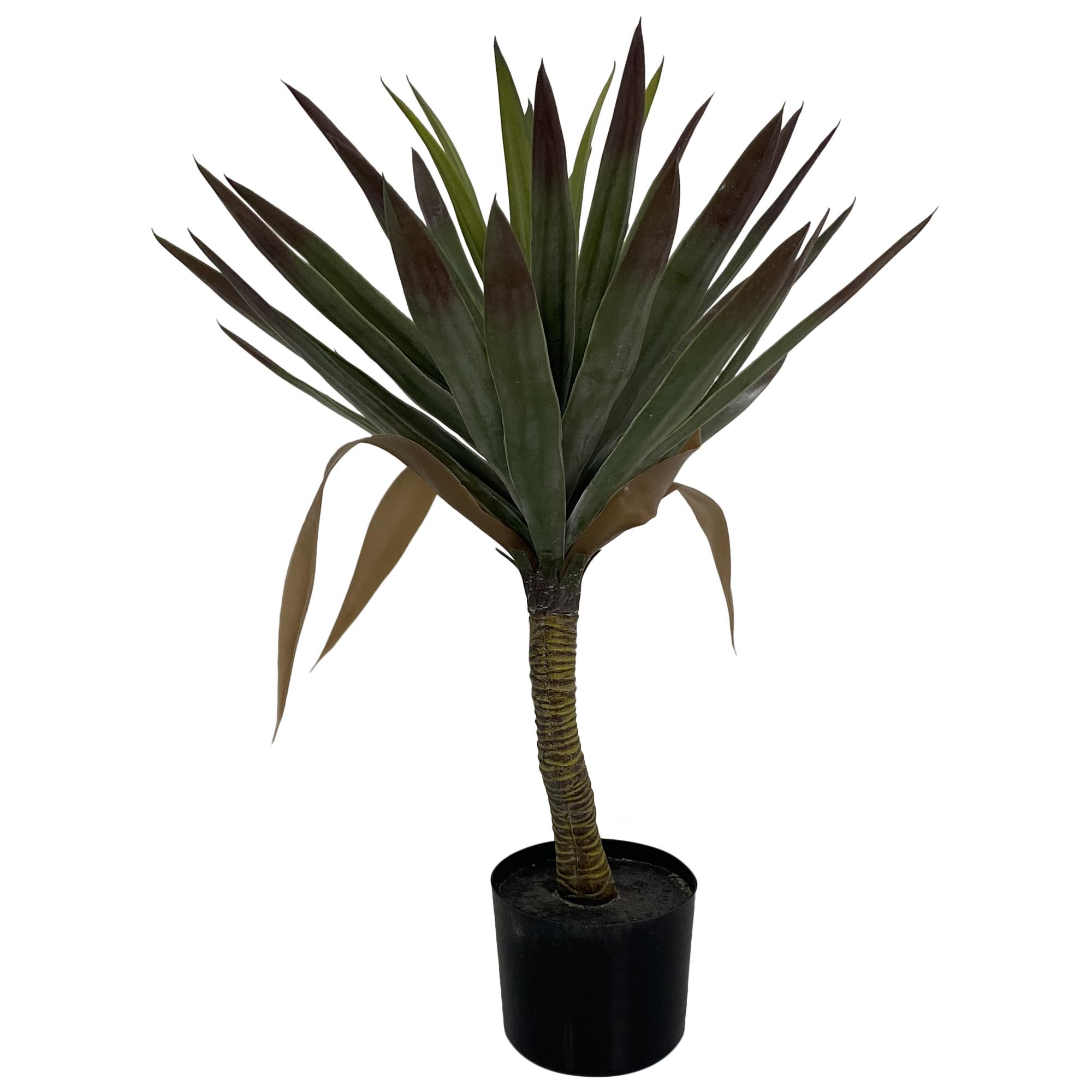 PLANT WITH POT 60X60X60CM - 592-460054