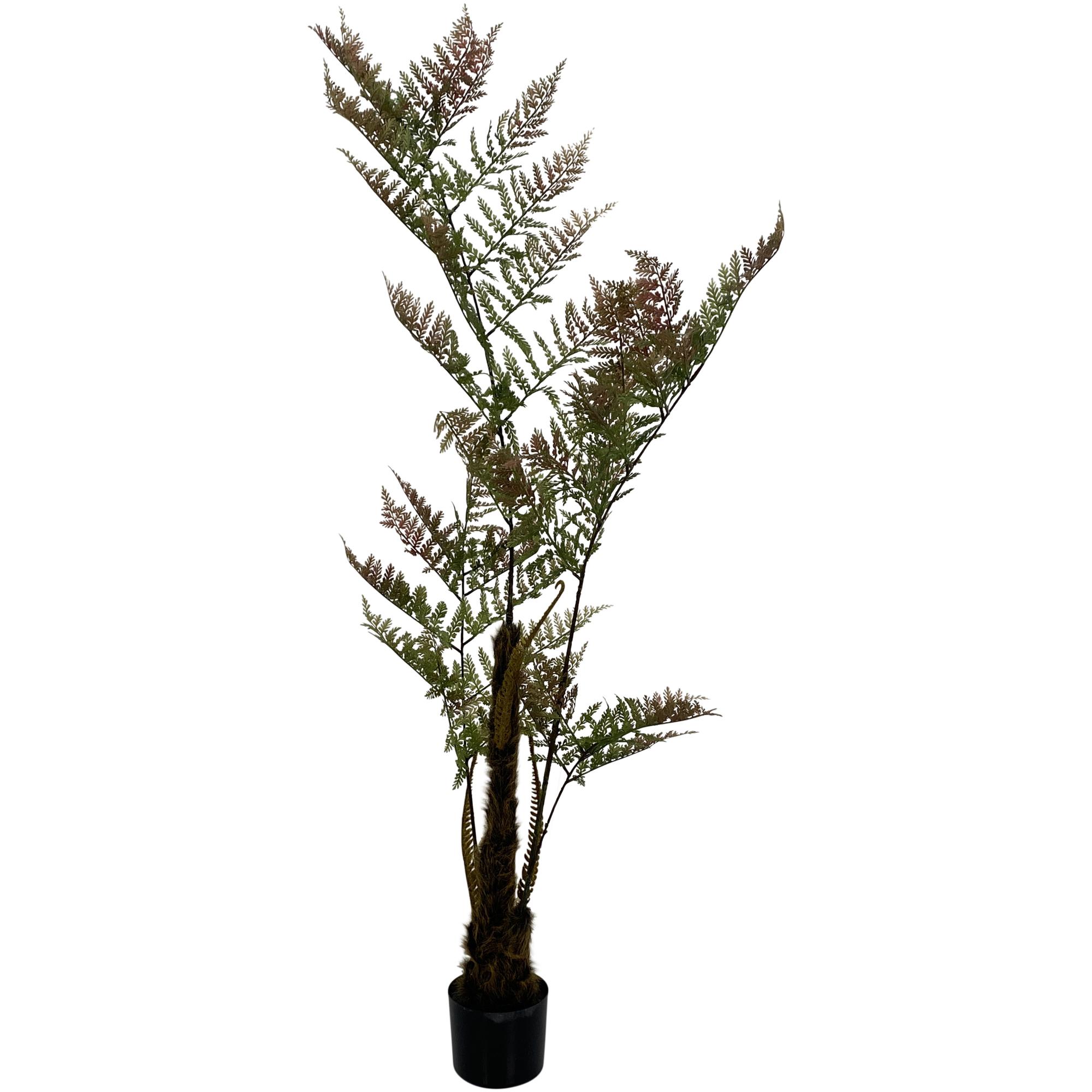 PLANT WITH POT 150X90X150CM - 592-460061