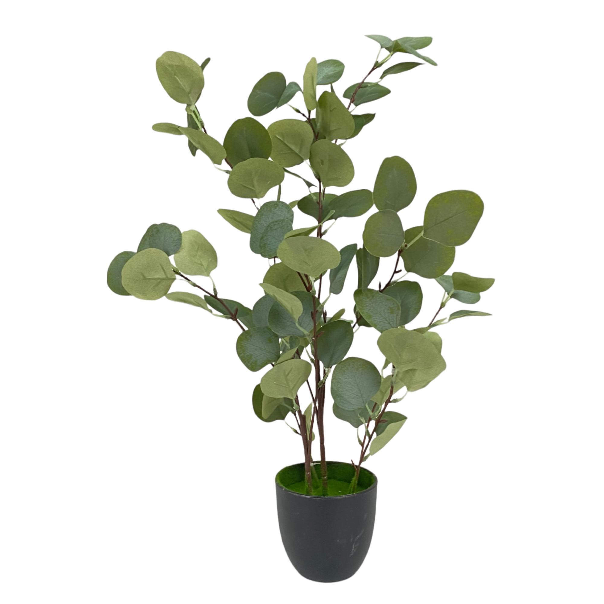 PLANTA C/POTE 60X40X60CM - 592-460064