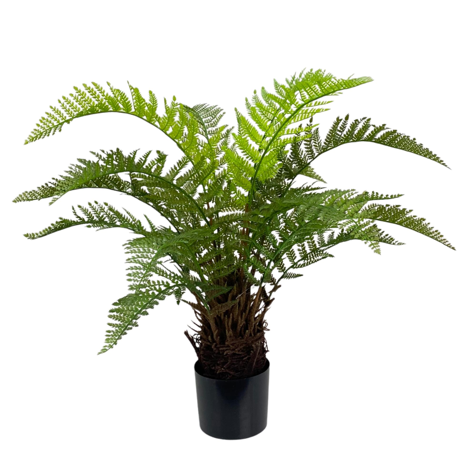PLANTA C/POTE - 592-460065