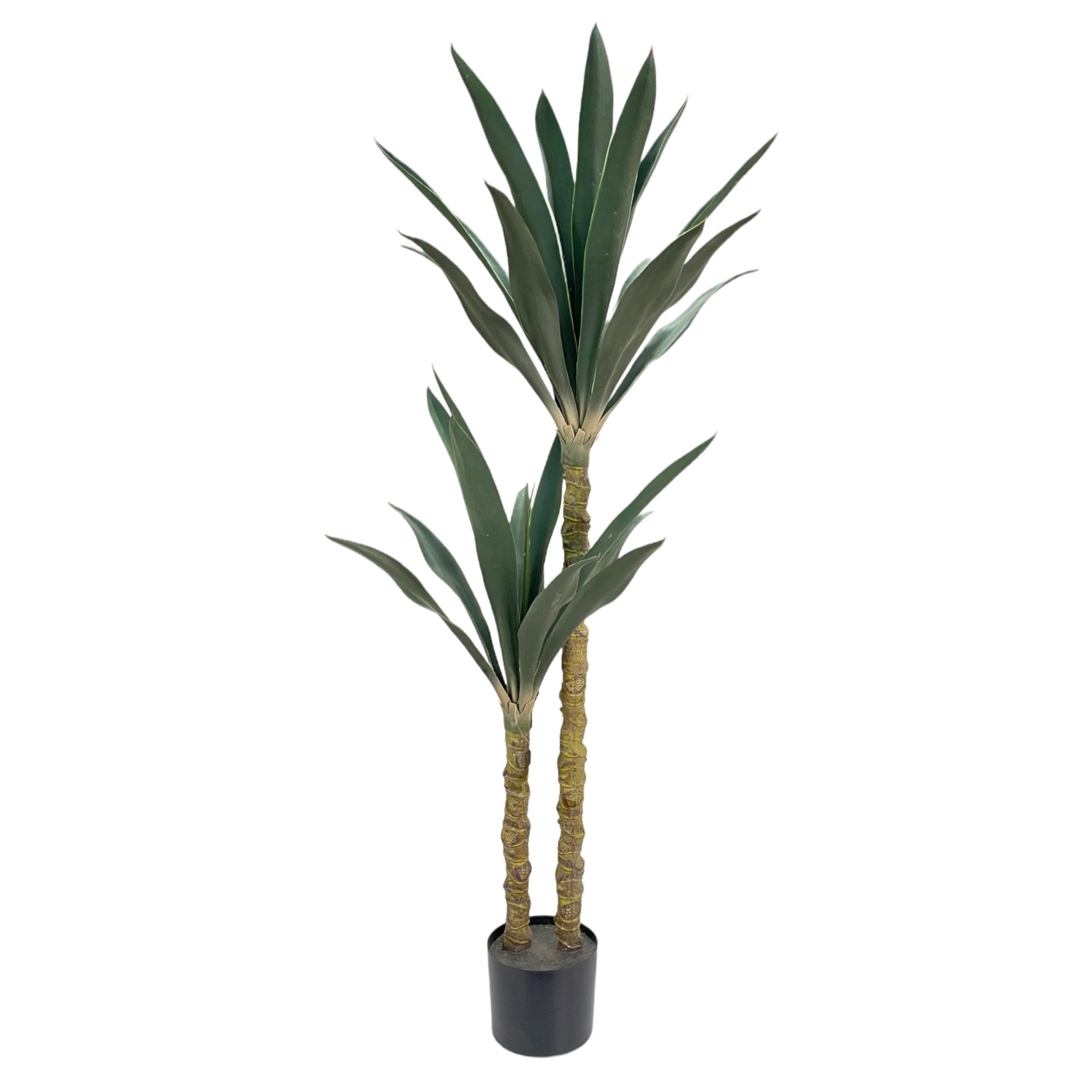 PLANT C/POT 120X60X120CM - 592-460069