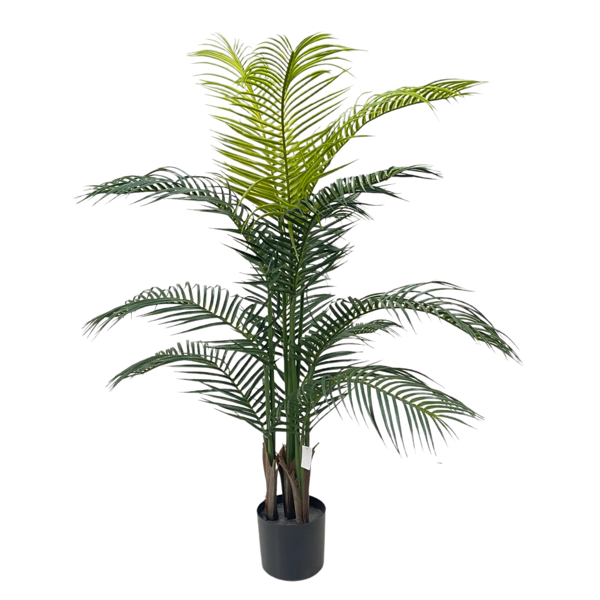 PLANTA C/POTE - 592-460070