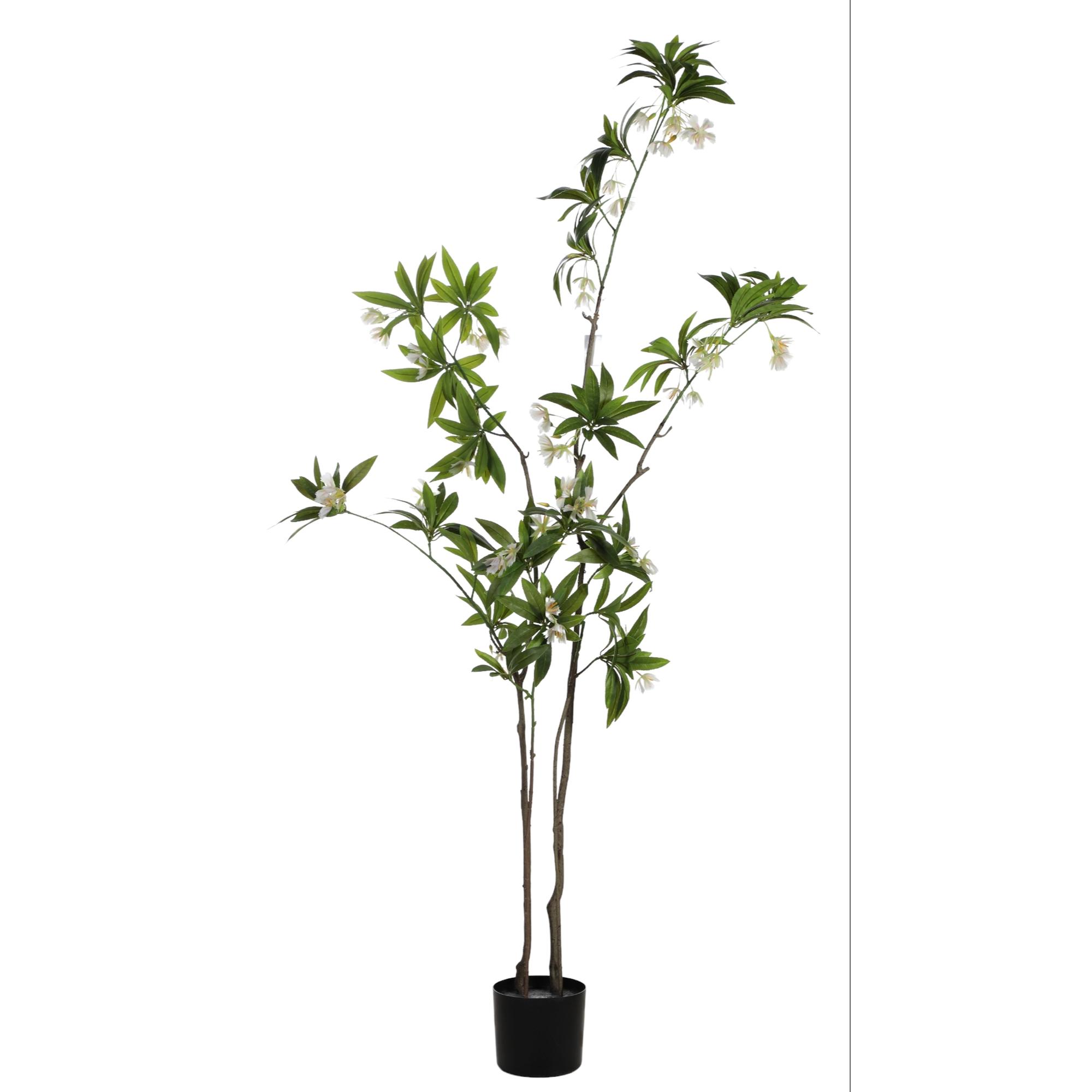 PLANT WITH POT 150X80X150CM - 592-460073