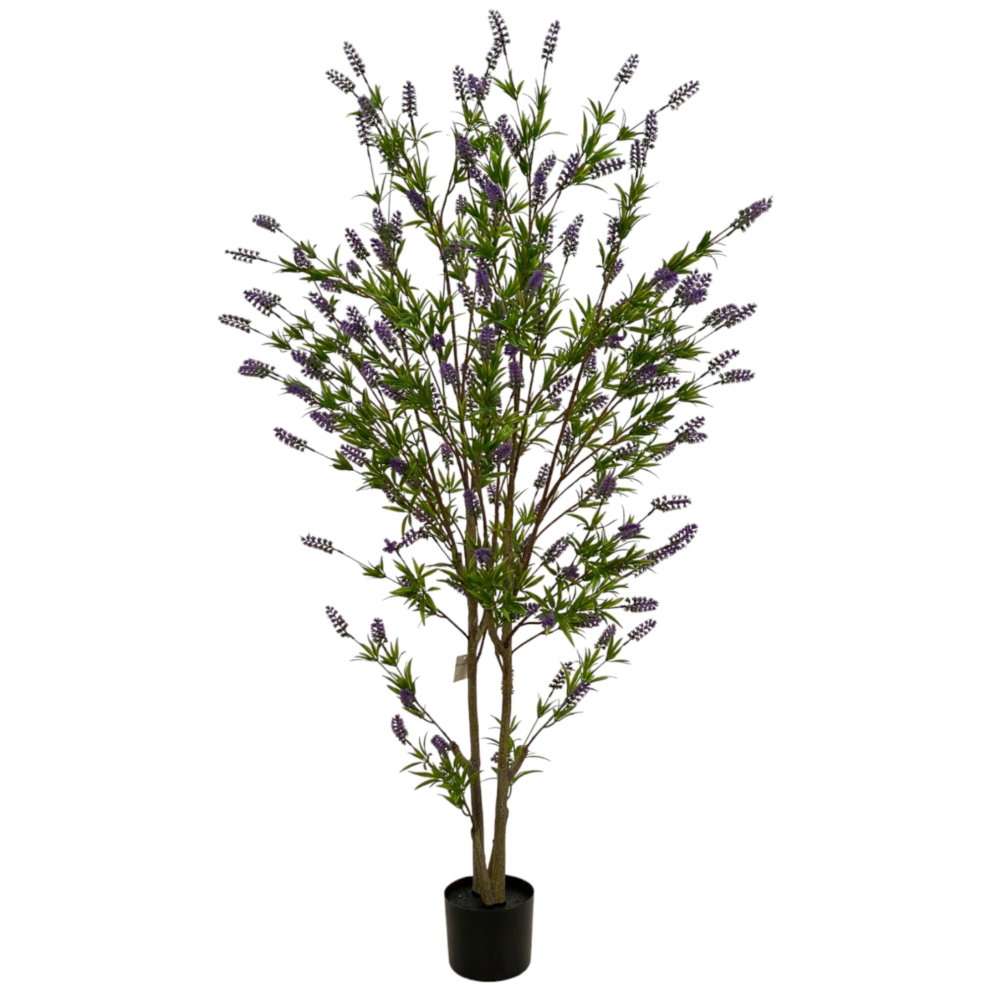 ÁRVORE DE LAVANDA COM VASO - 592-460101