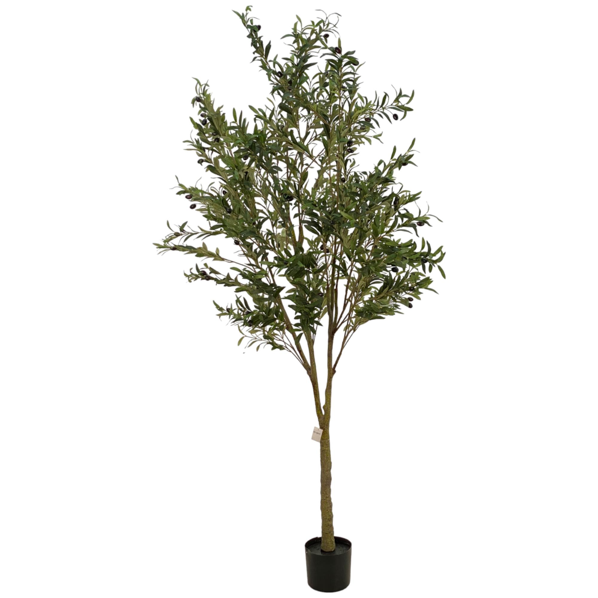 ARBOL-OLIVO C/MACETA - 592-460103
