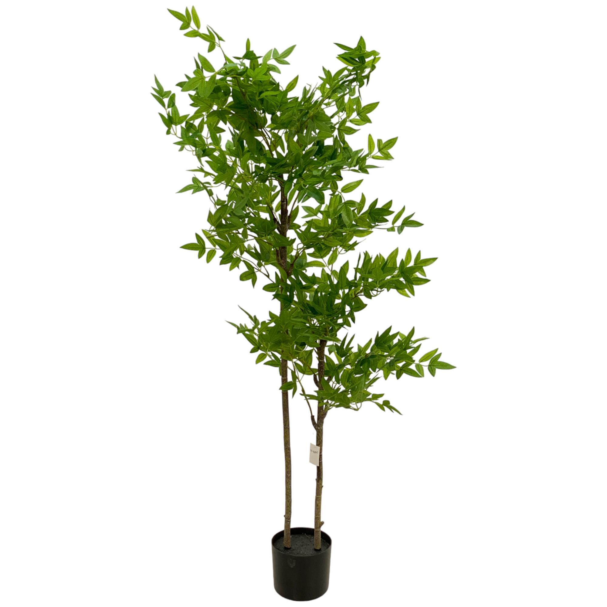 120cm nandina Tree in Pot - 592-460107