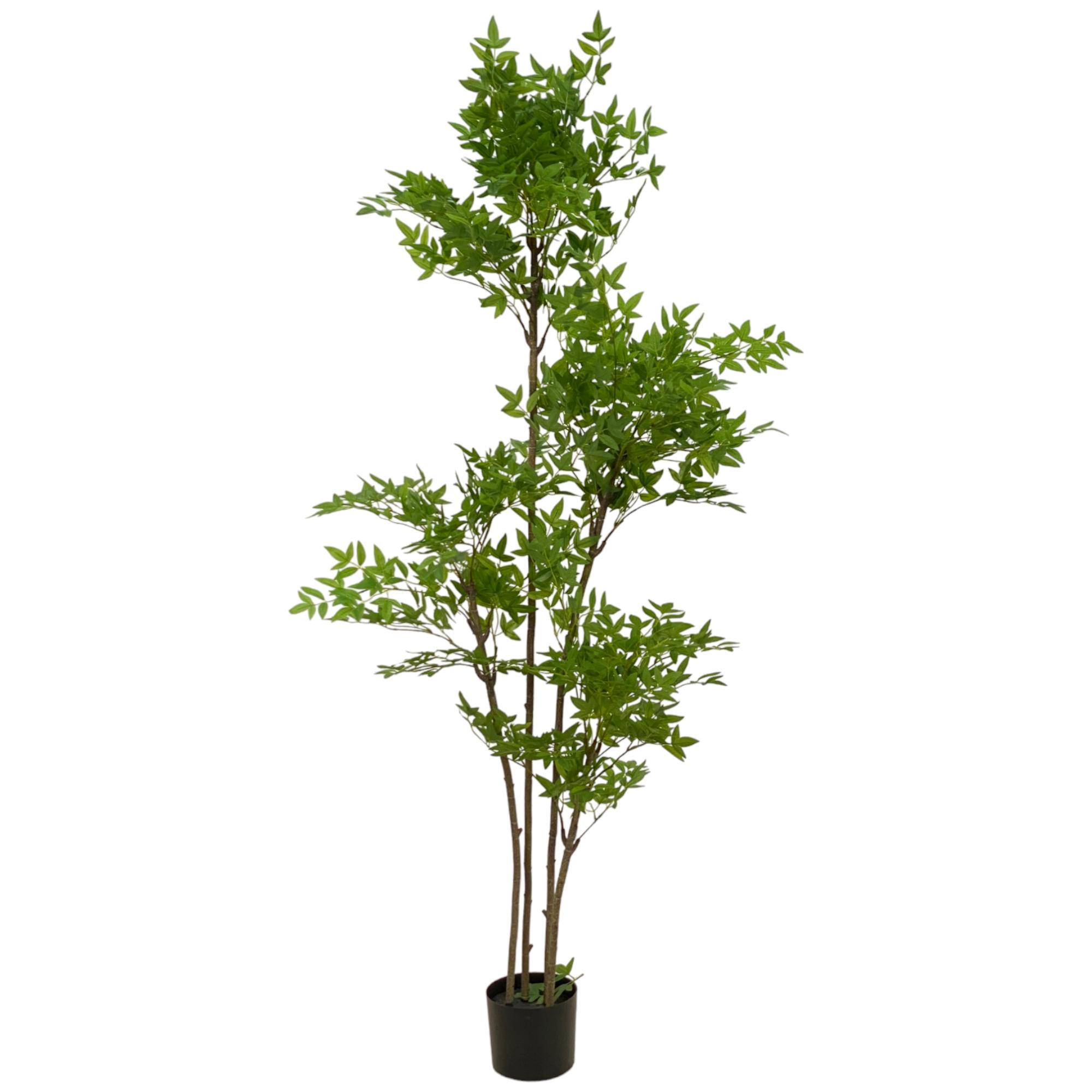 ARBOL-NANDINA C/MACETA 180X100 - 592-460108