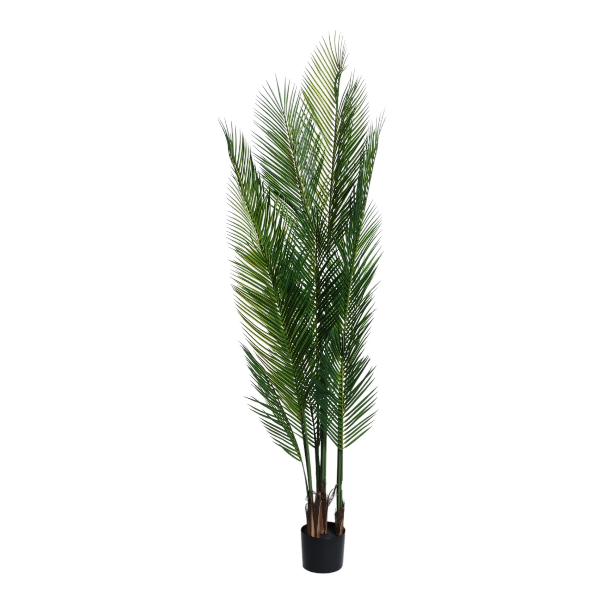 ARTIFICIAL PLANT/ARECA PALM - 592-460123
