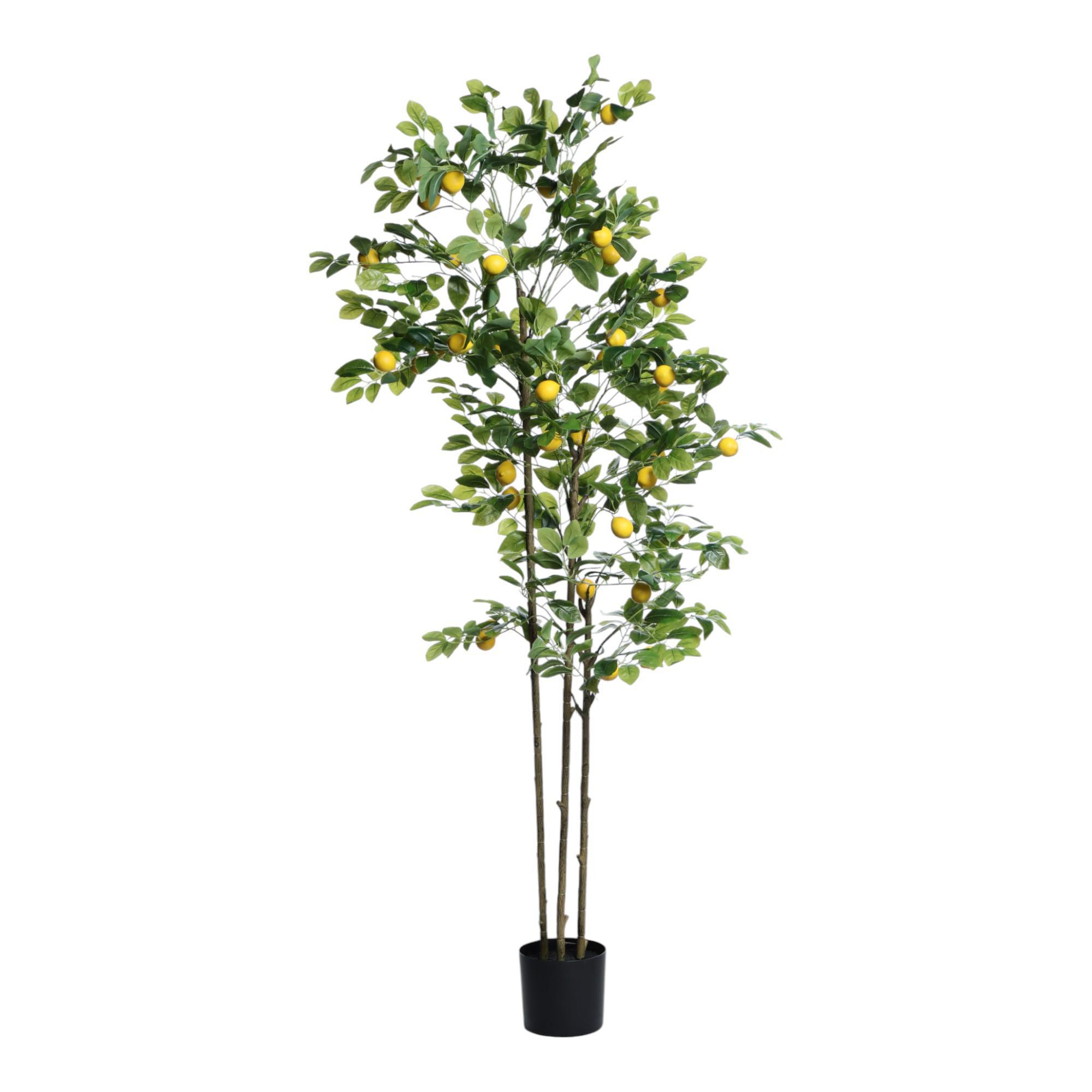 LIMOEIRO COM VASO - 592-460131