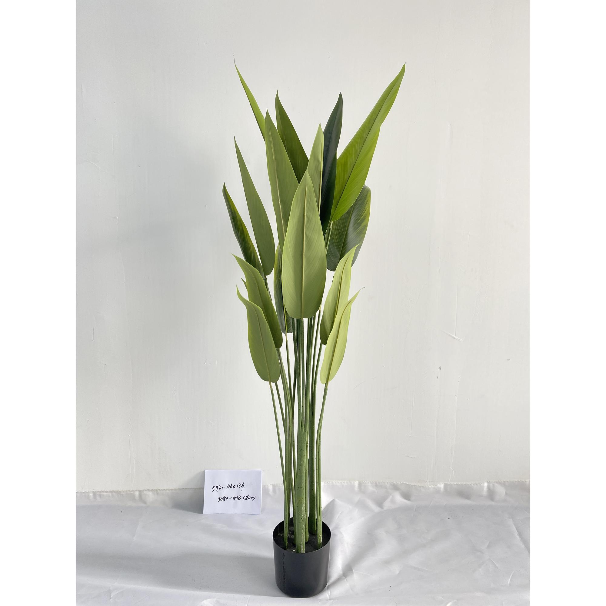 160CM POTTED BEAUTY PLANT - 592-460136
