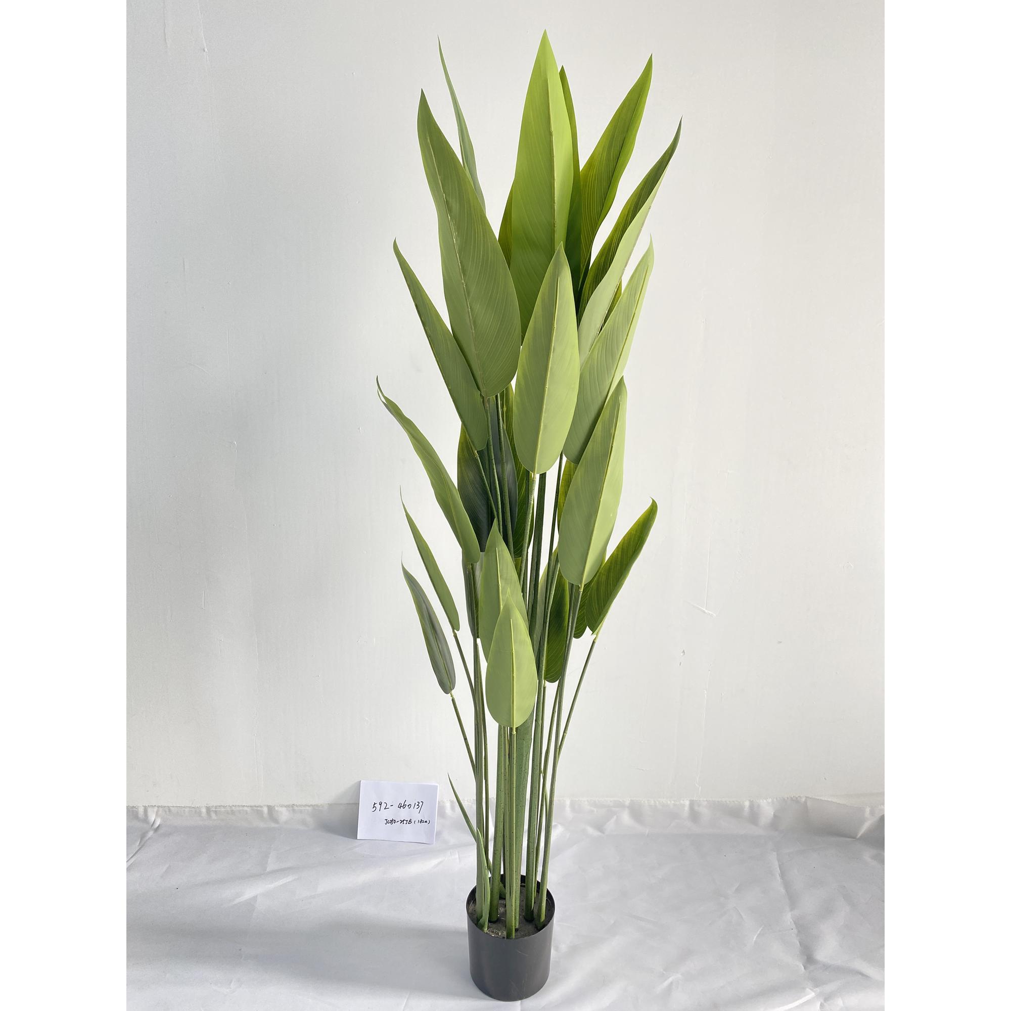 180CM POTTED BEAUTY PLANT - 592-460137