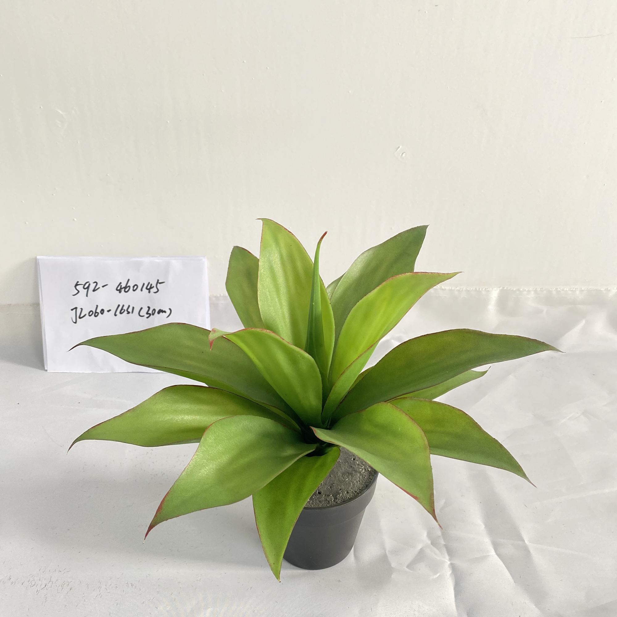30CM AGAVE PALM - 592-460145