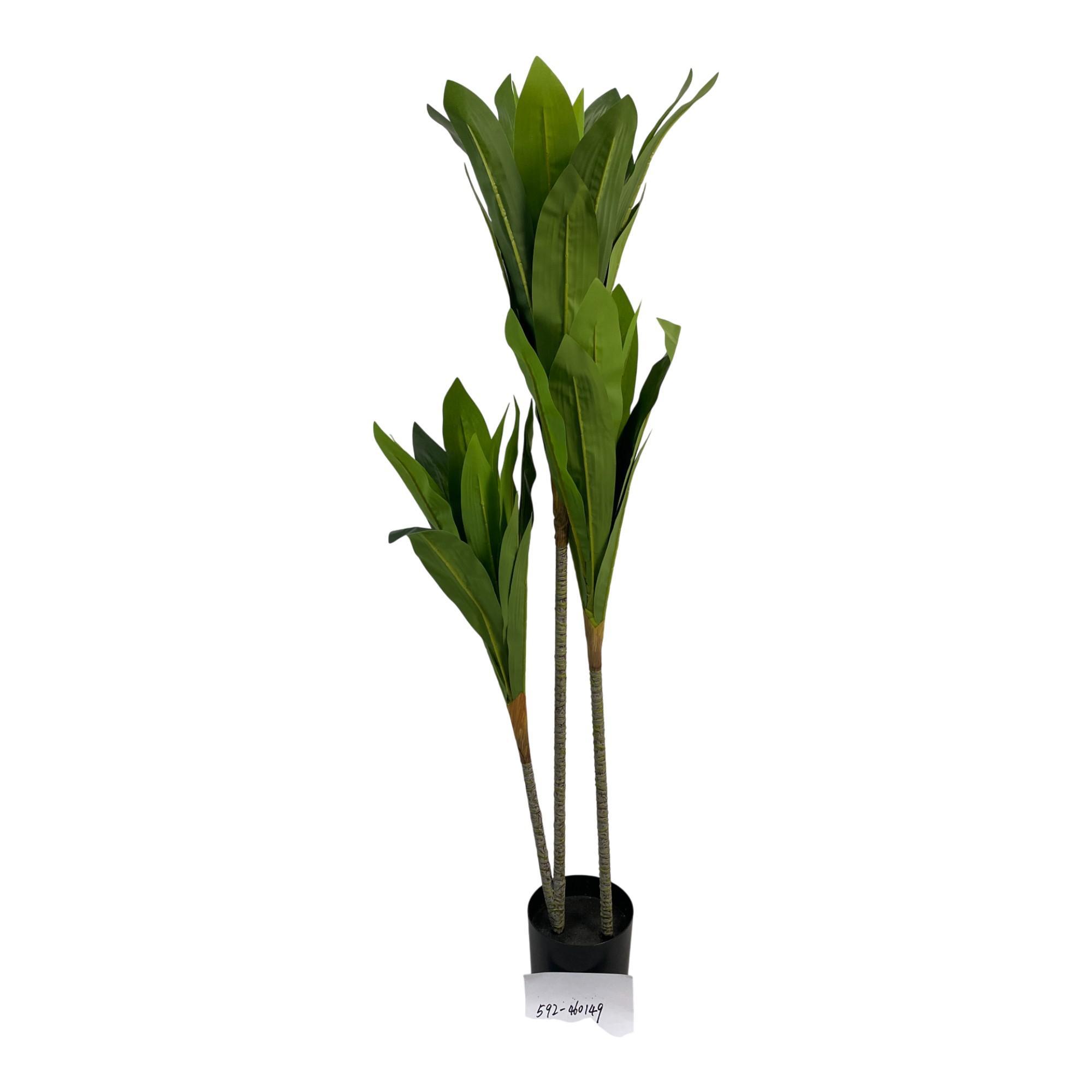 AGAVE C/POTE 120X60X120CM - 592-460149