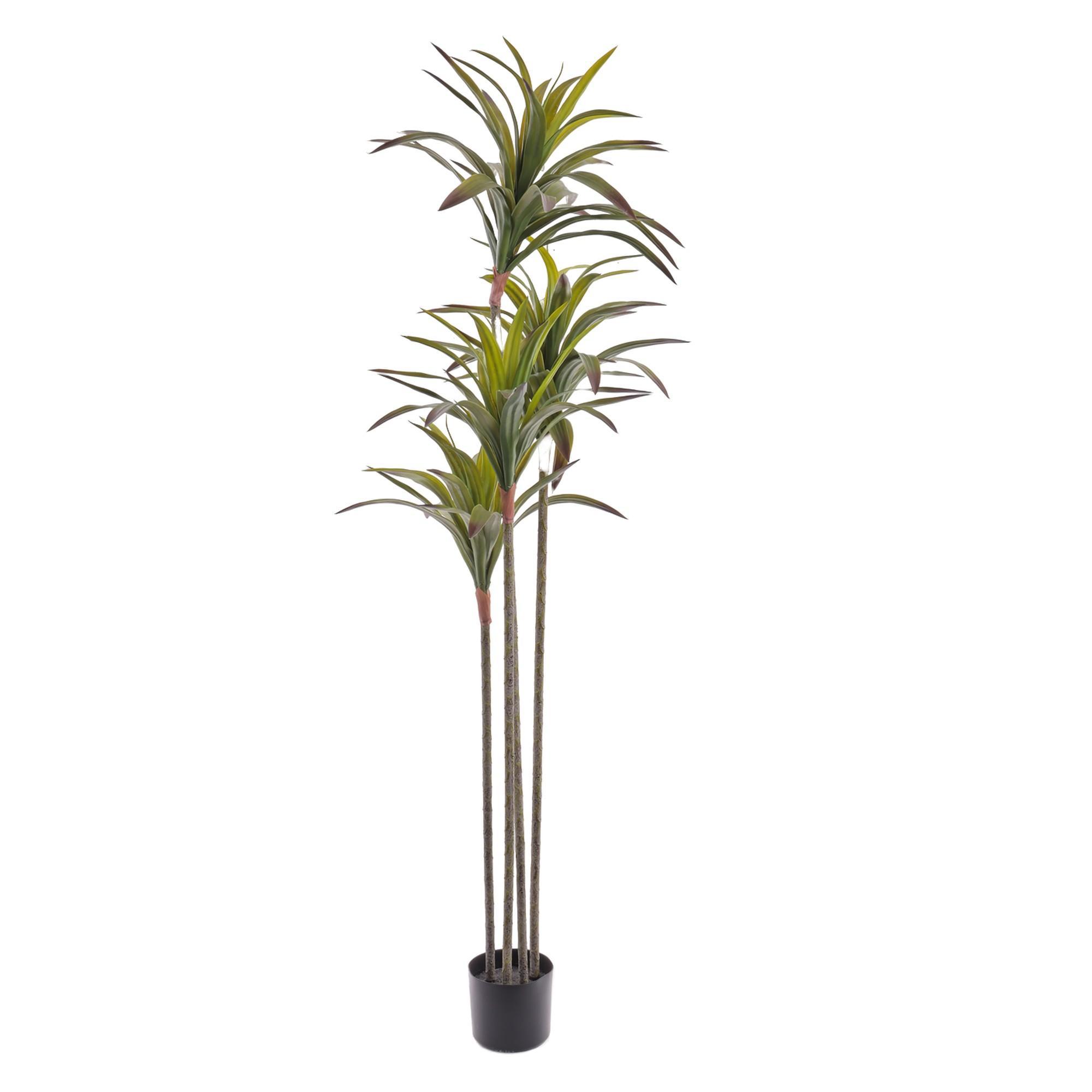 AGAVE C/POTE 15X60X150CM - 592-460156