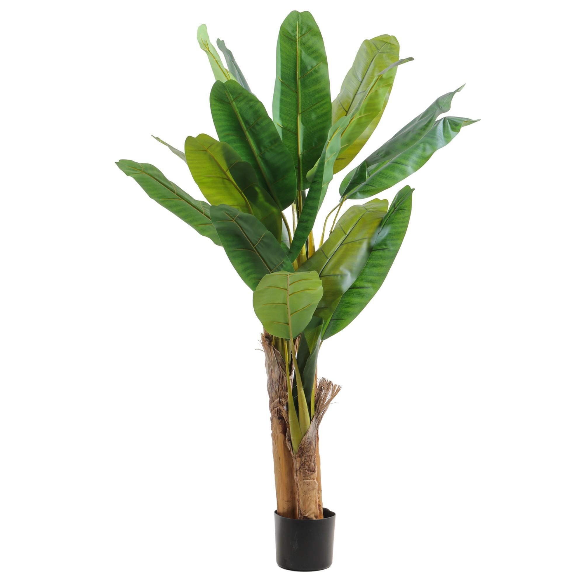 BANANA C/ POTE - 592-460160