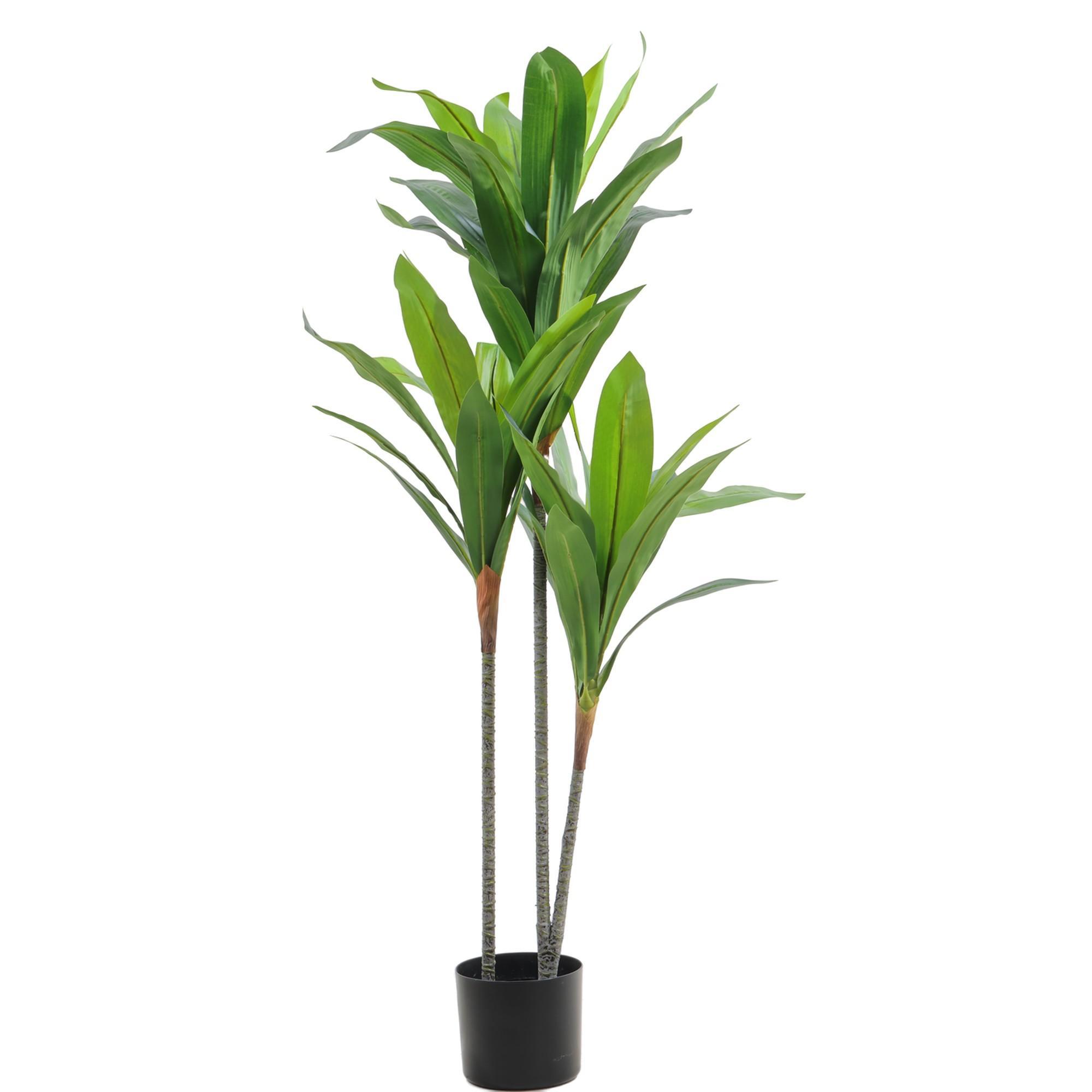 moundlily - 592-460169