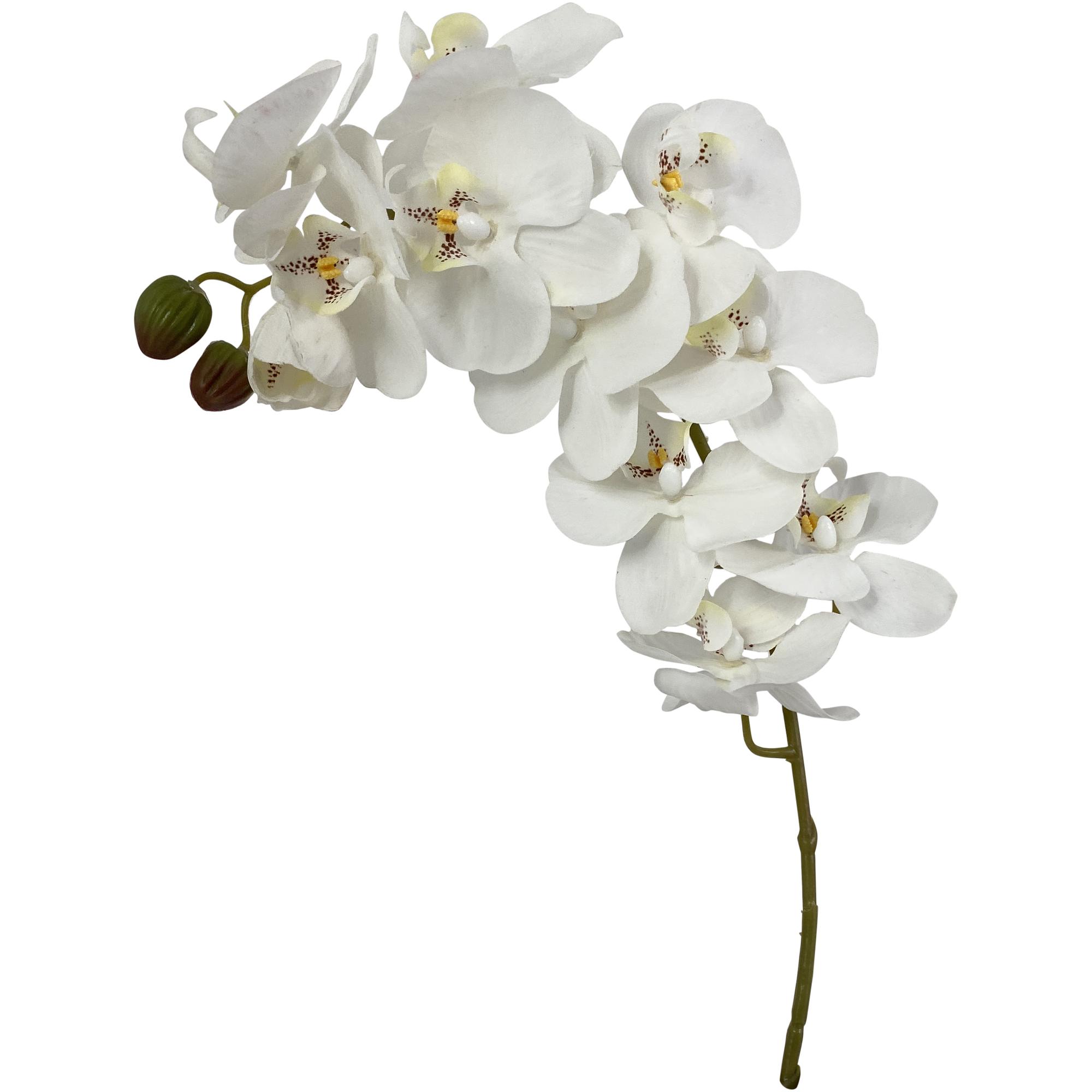 ORQUÍDEA BRANCA 72X10X10CM - 592-480039