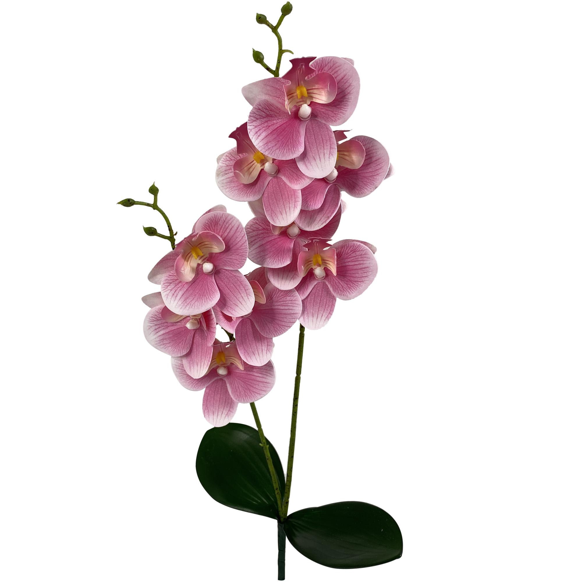 ARTIFICIAL FLOWER - 592-480046