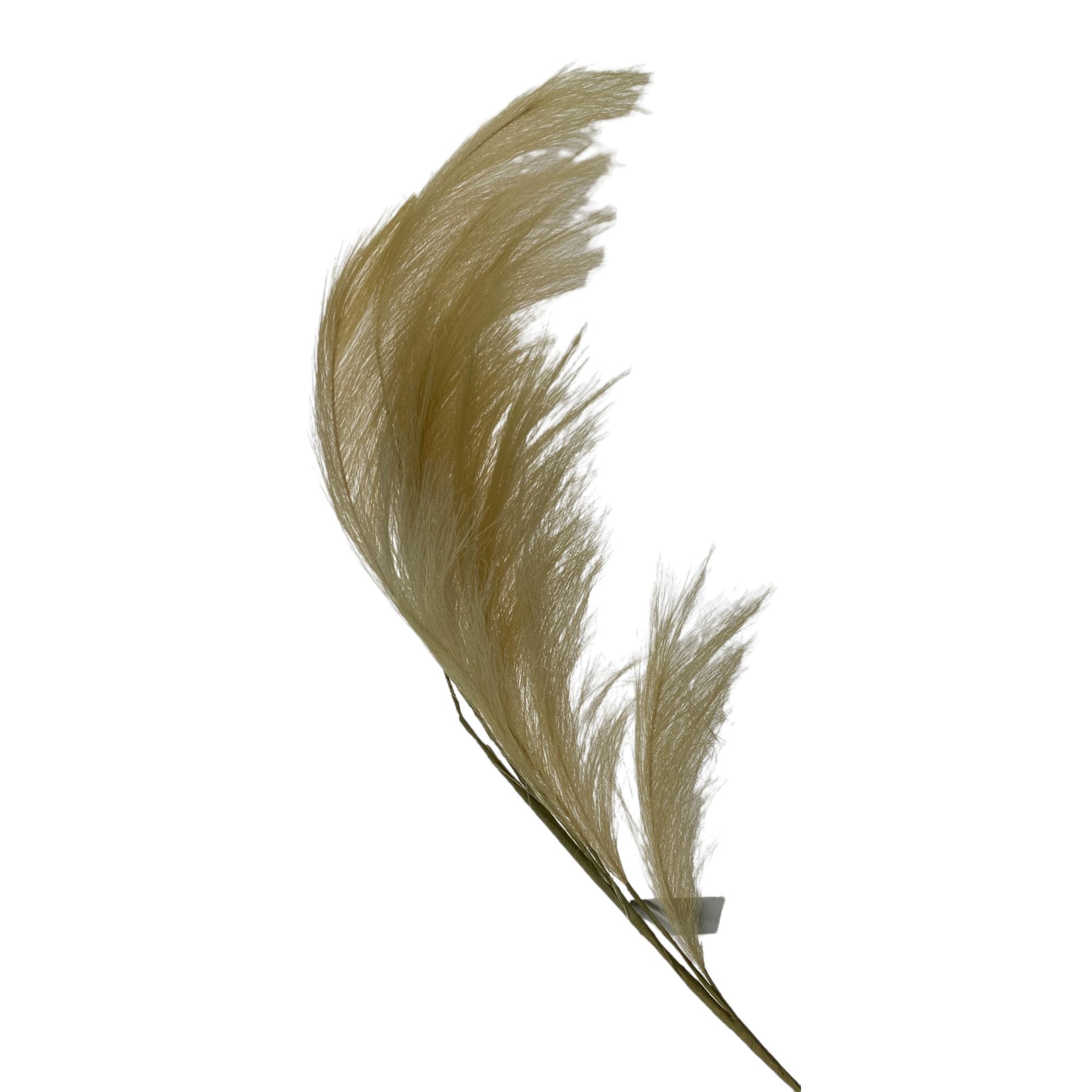 Pampas grass - 592-480155