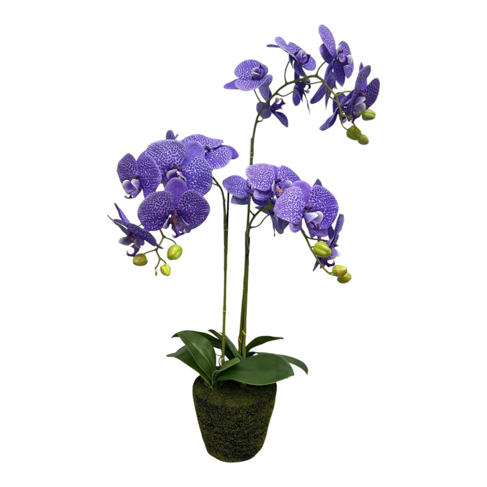 ORQUIDEA DECOR - 592-510004