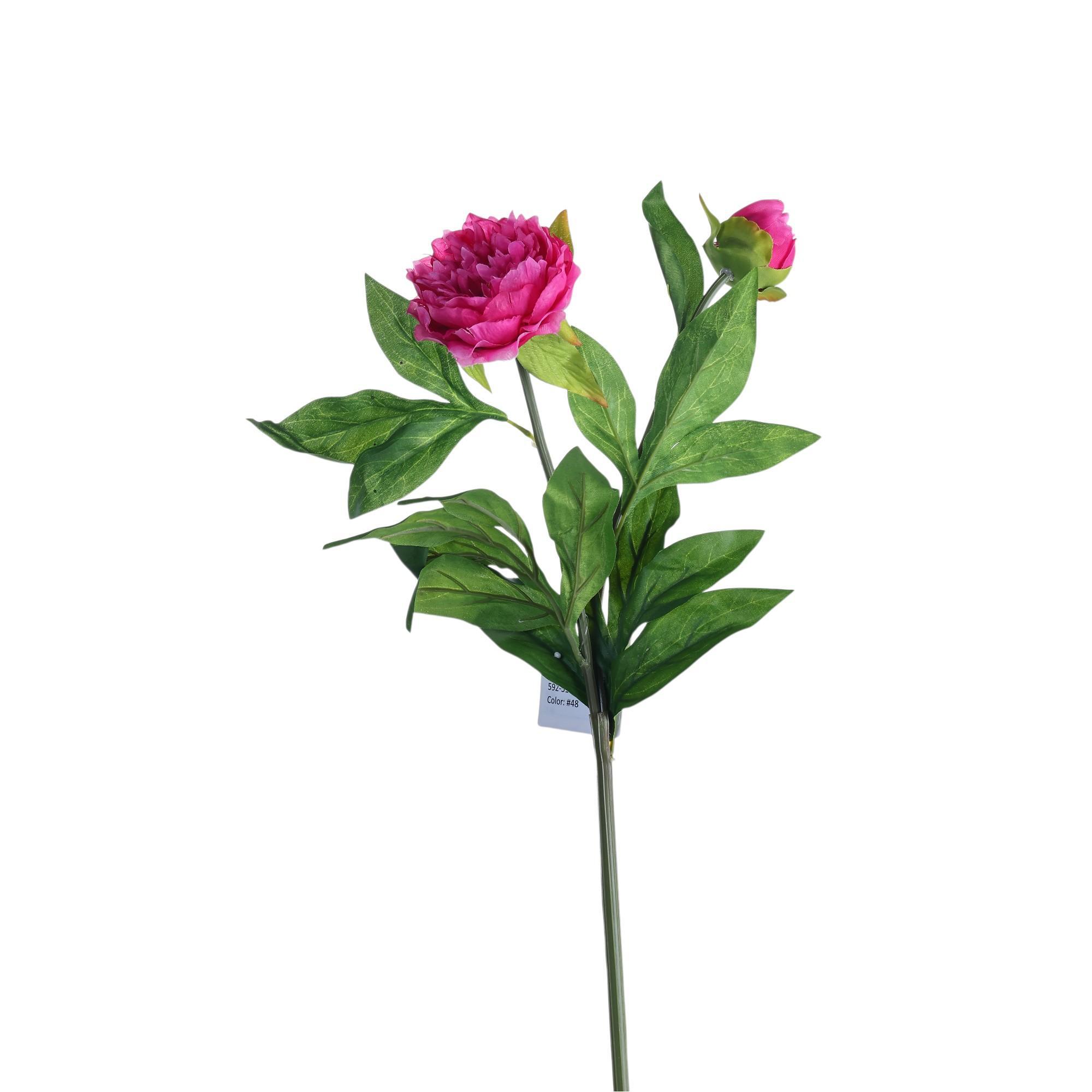 2heads peony branch - 592-510045