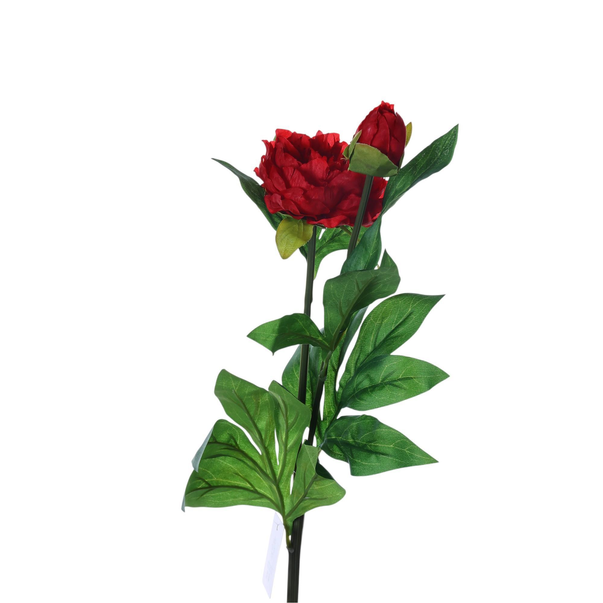 2heads peony branch - 592-510047