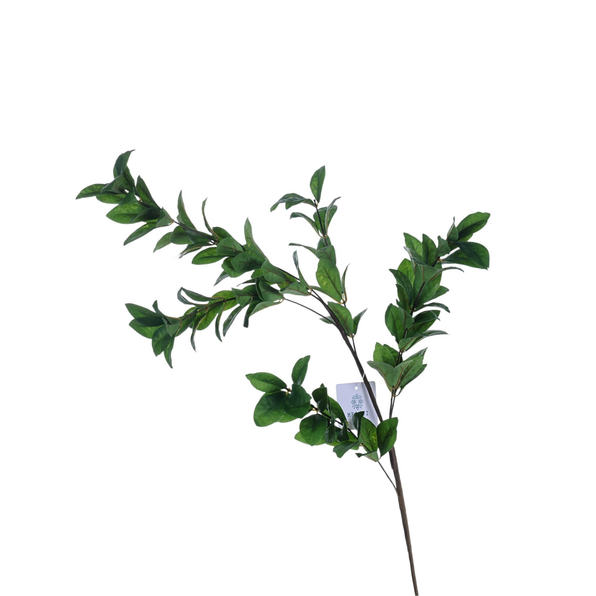 Bagas de Goji - 592-510052