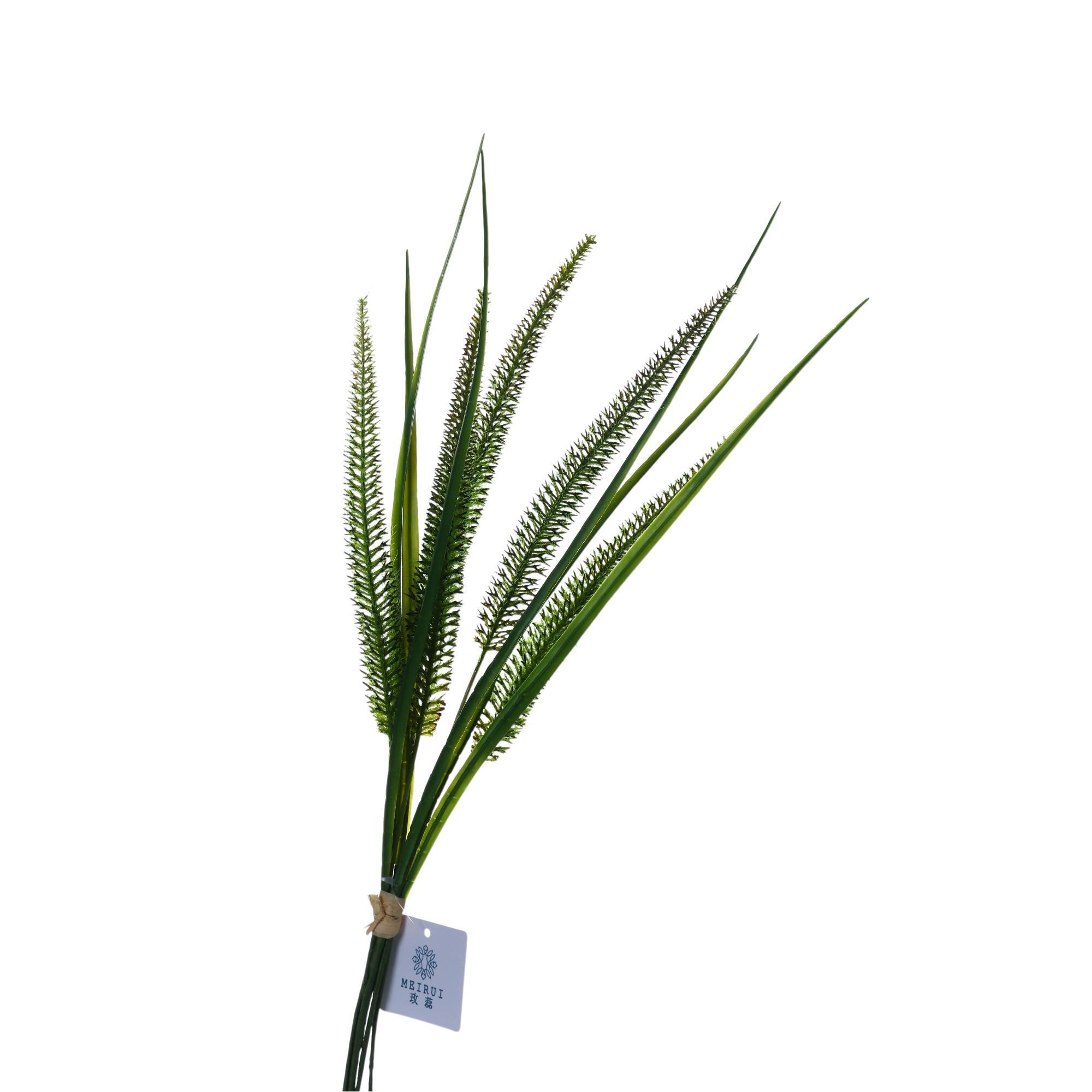 Cattail grass bundle - 592-510053
