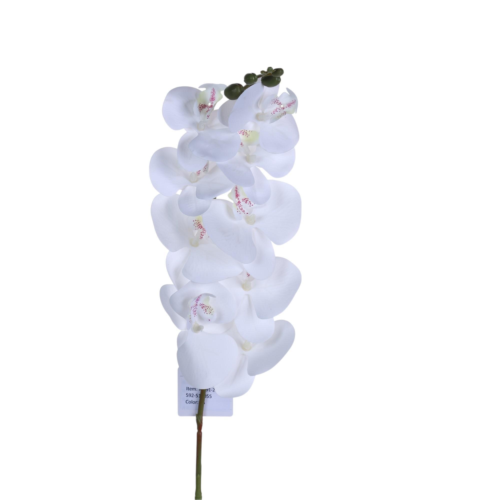 9heads orchid stem - 592-510055
