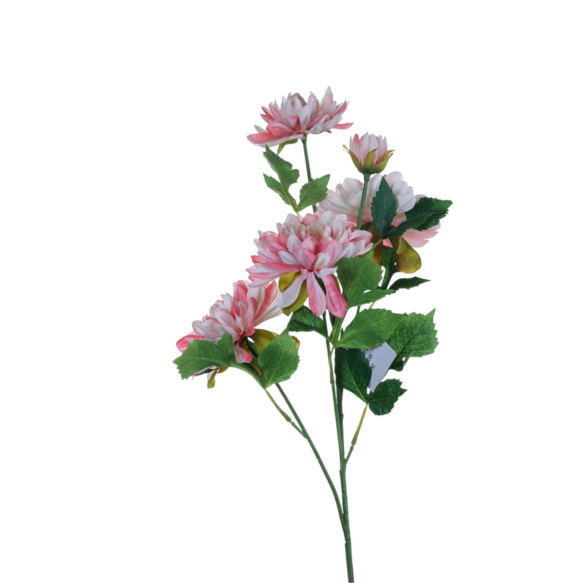 Rama Dahlia 23X19X66CM - 592-510068