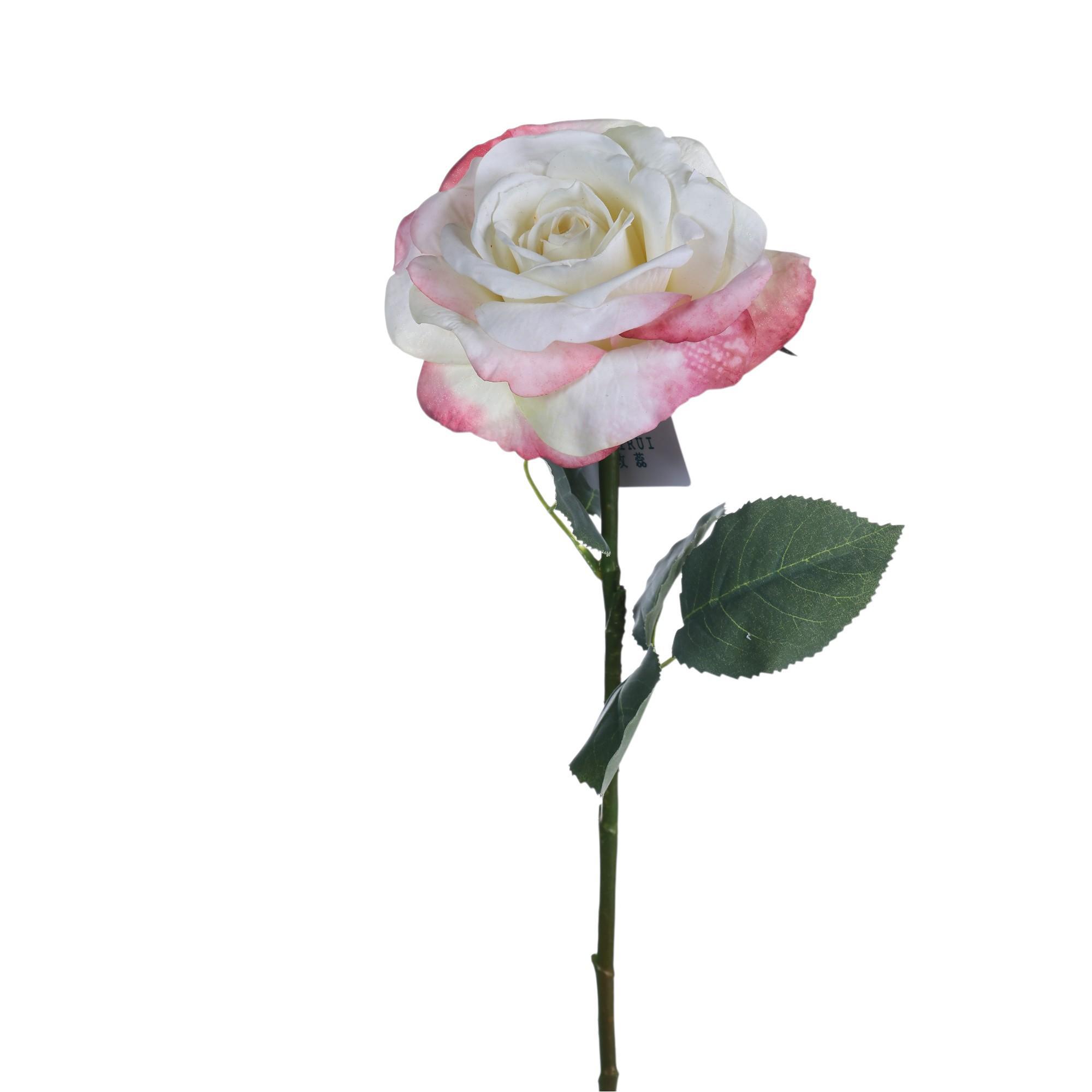 Rose branch - 592-510070