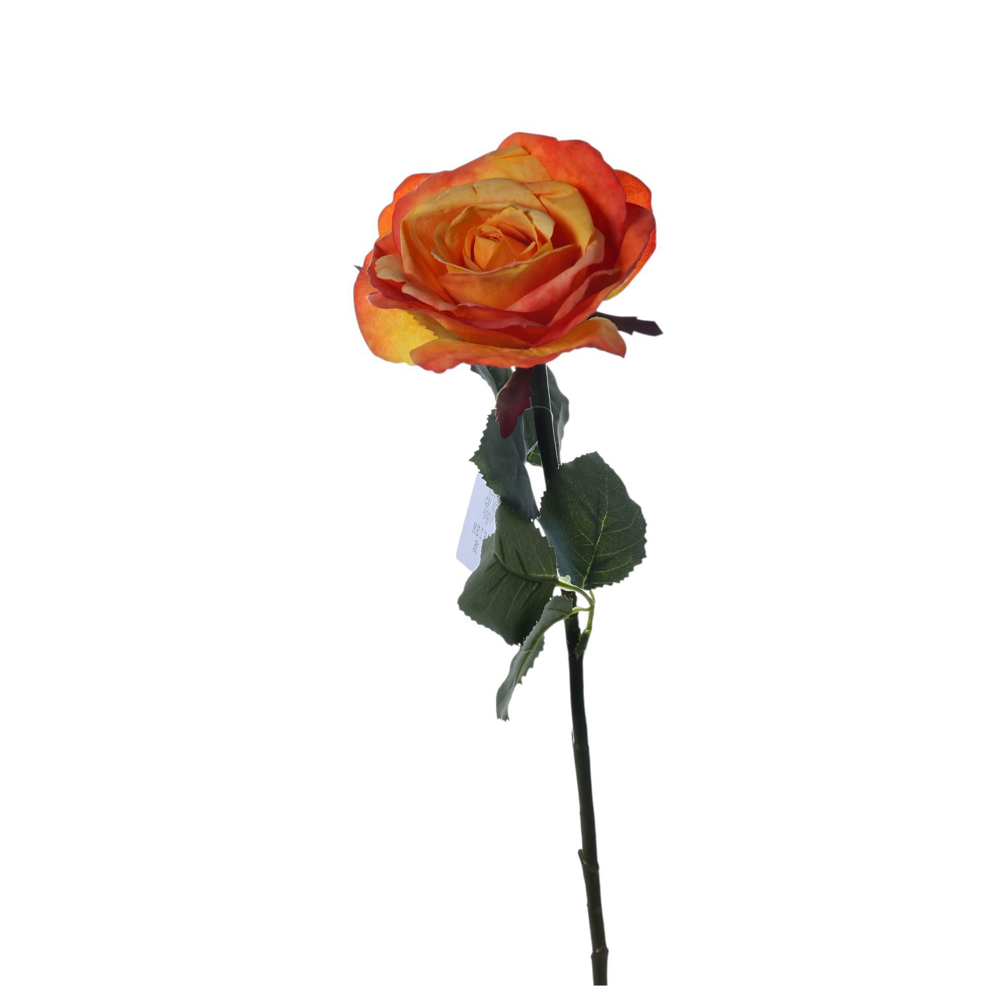Rose branch - 592-510071