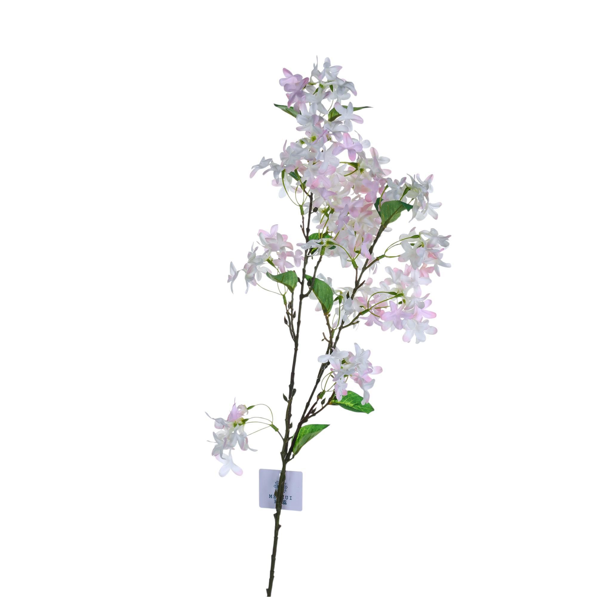 Winterjasmine branch - 592-510080