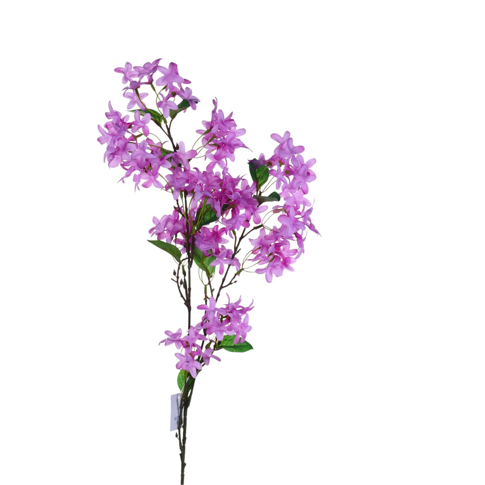 Winterjasmine branch - 592-510081