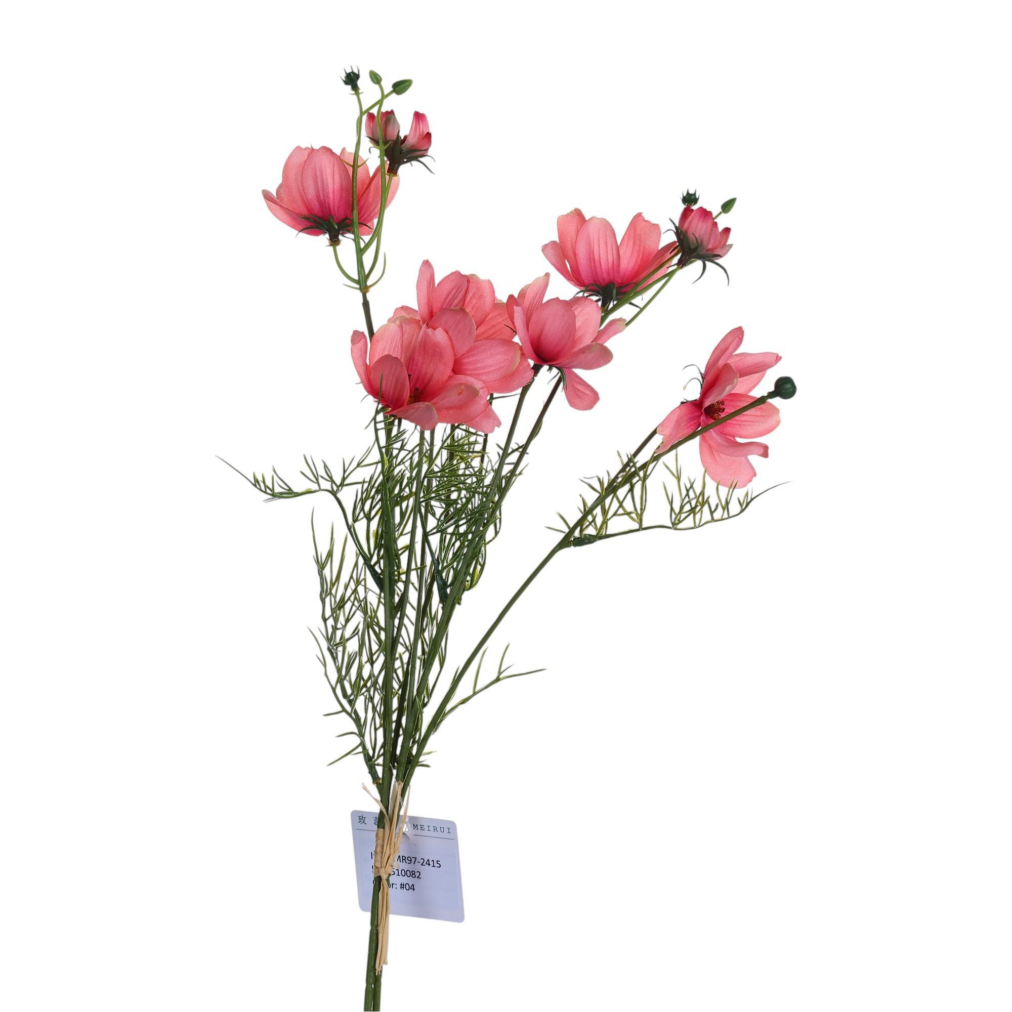 Rama Coreopsis - 592-510082