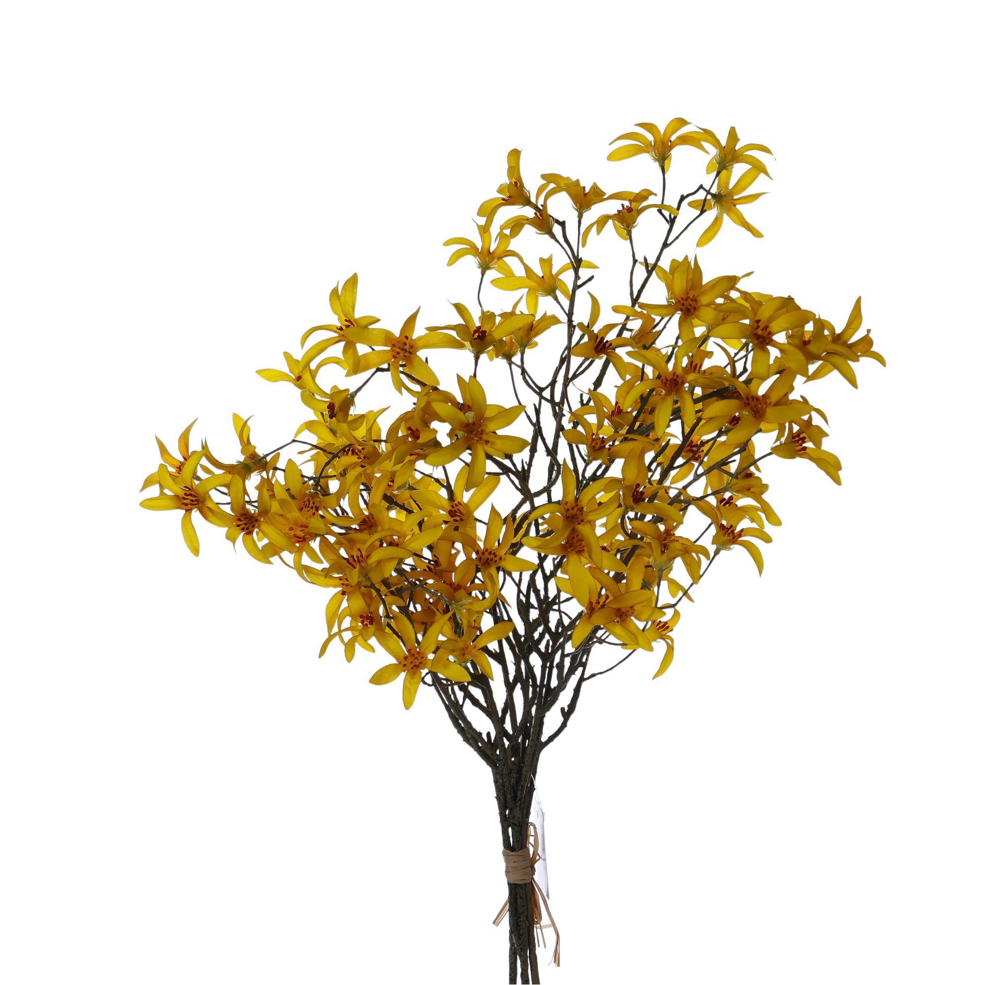 Jasmim Rama - 592-510088