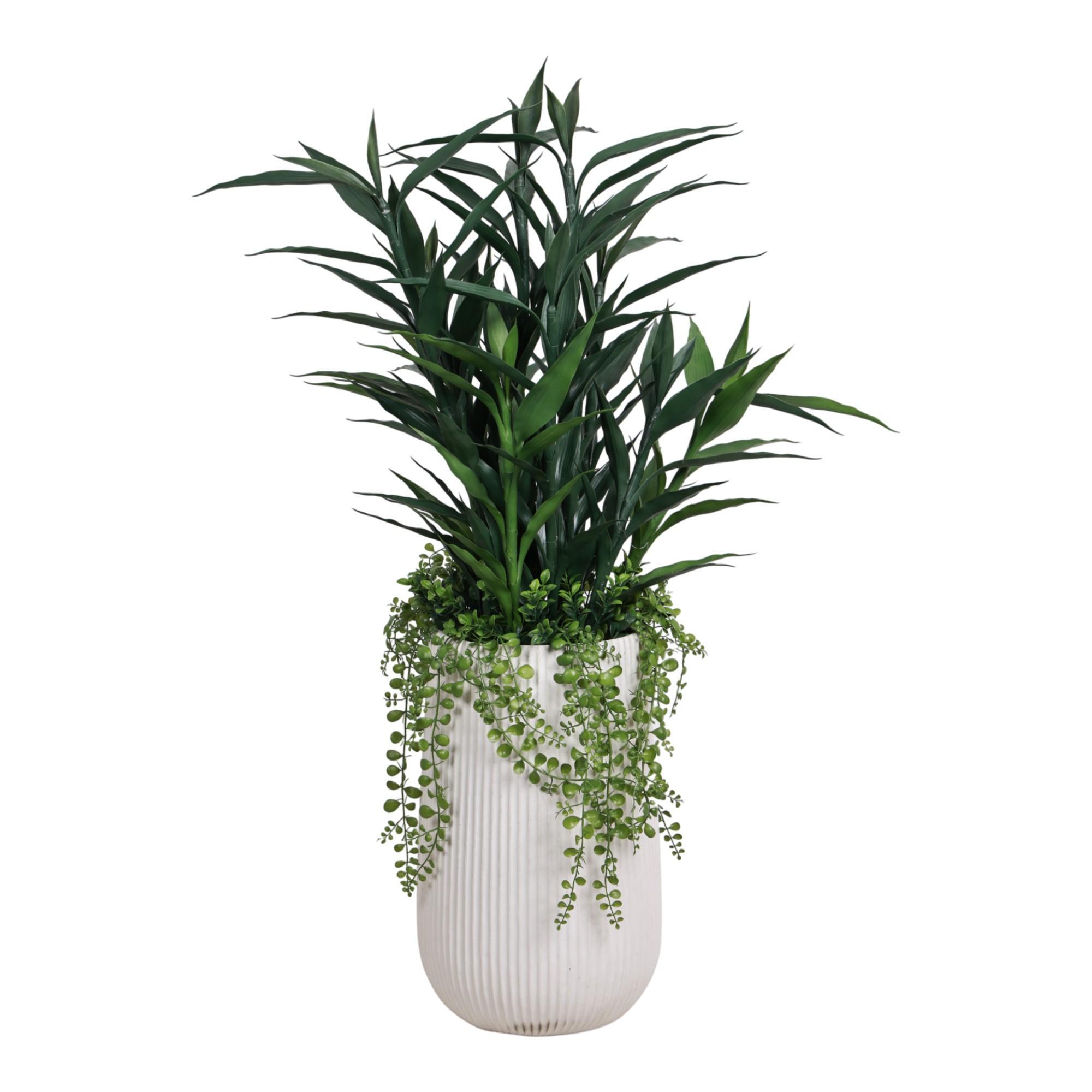 PLANTA C/POTE - 592-510094
