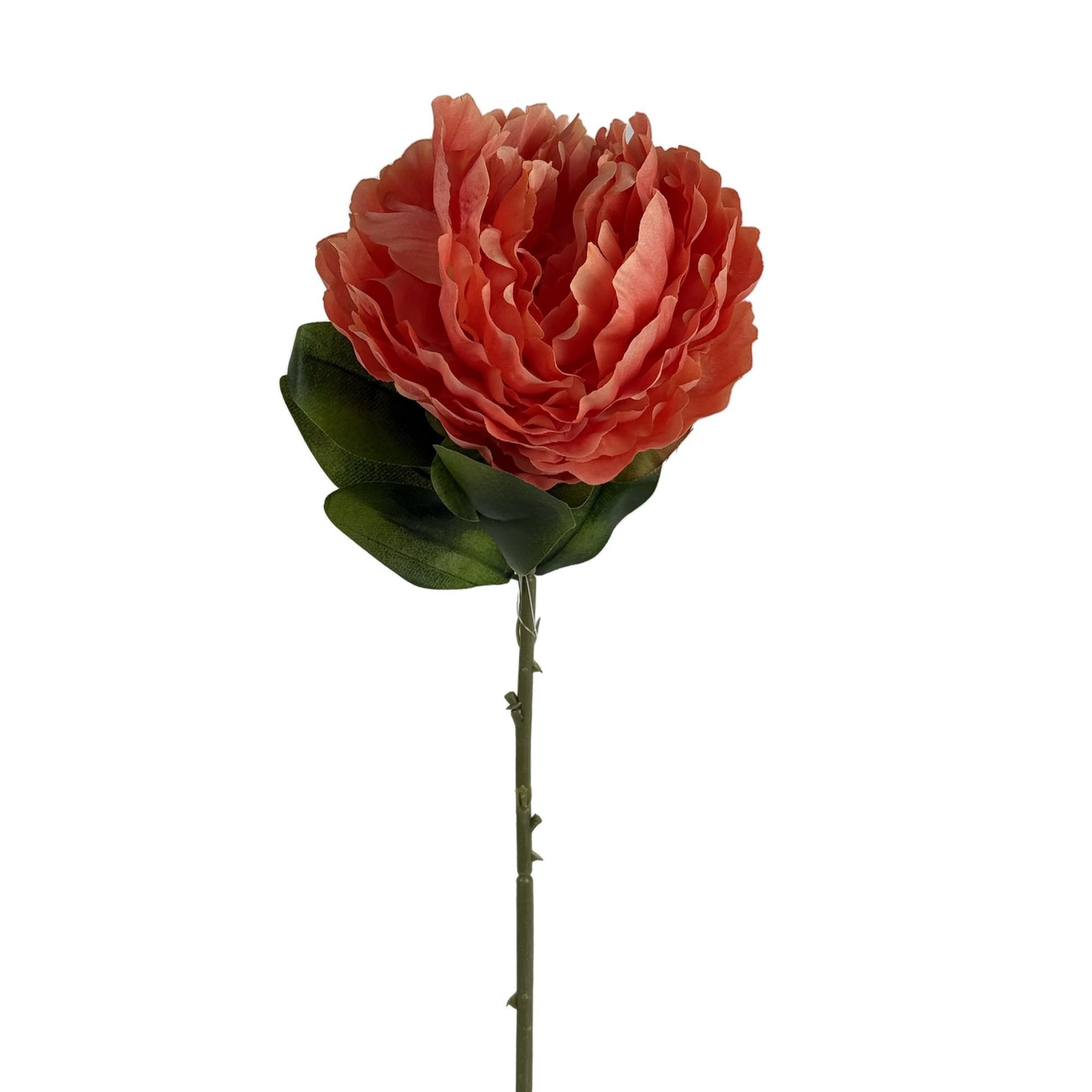 TALO DE PEÔNIA - 592-530009