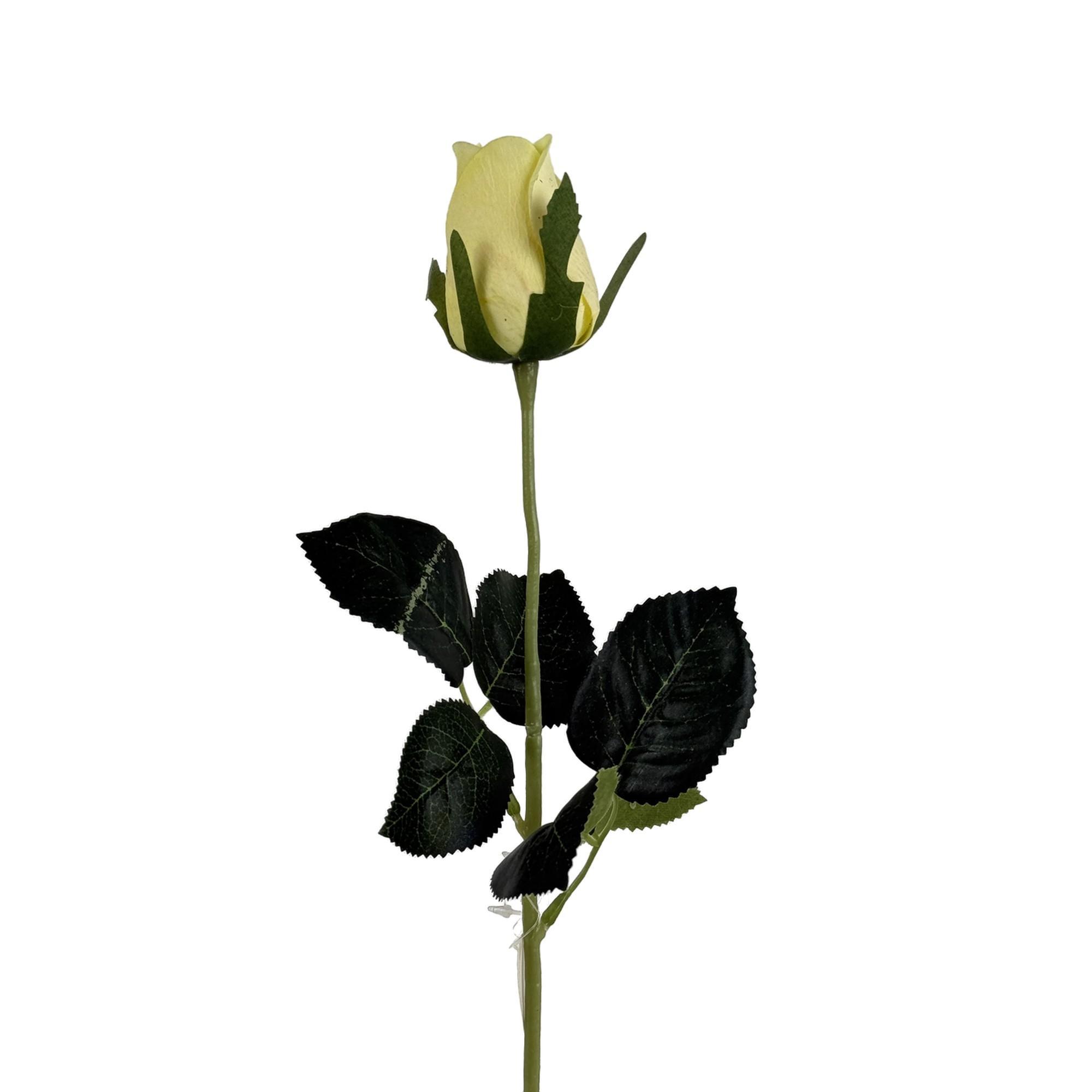 HASTE DE ROSA ROYAL TOUCH - 592-530017