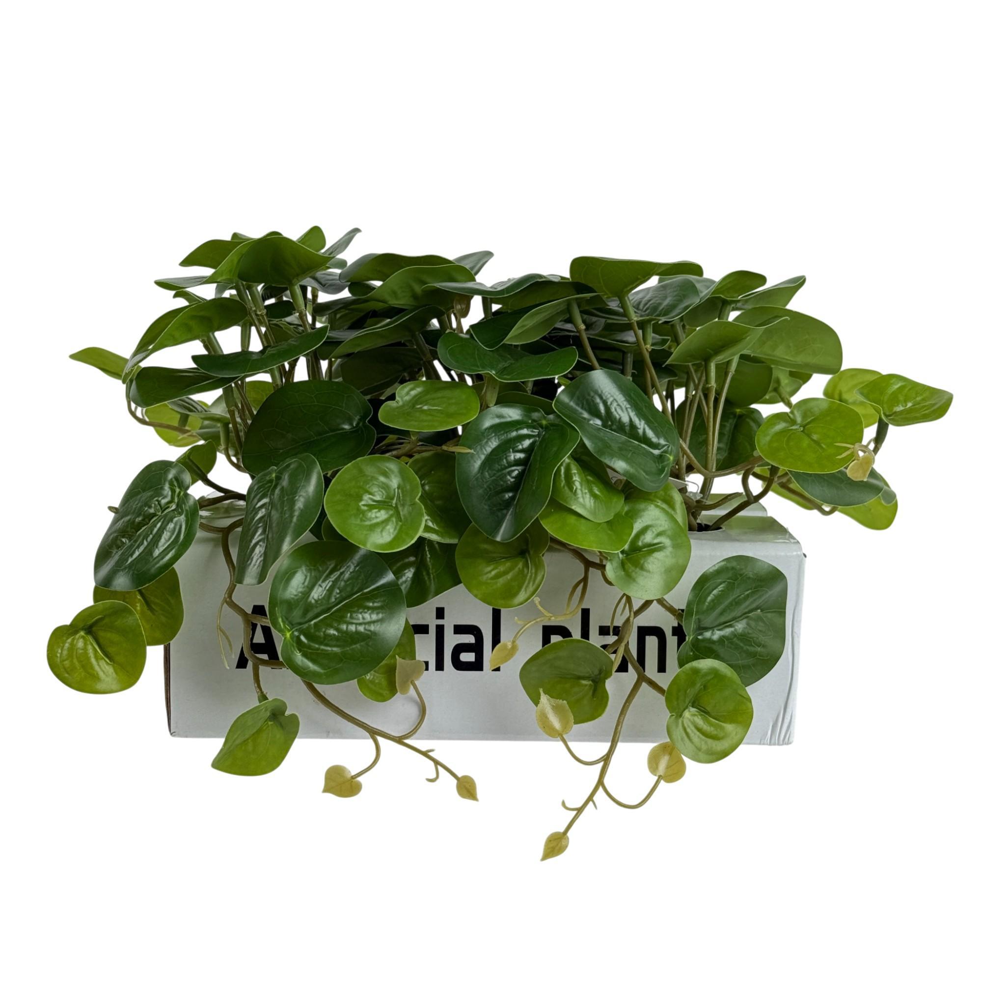 HOJAS PEQUEÑAS EN MACETA EN CA - 592-530021