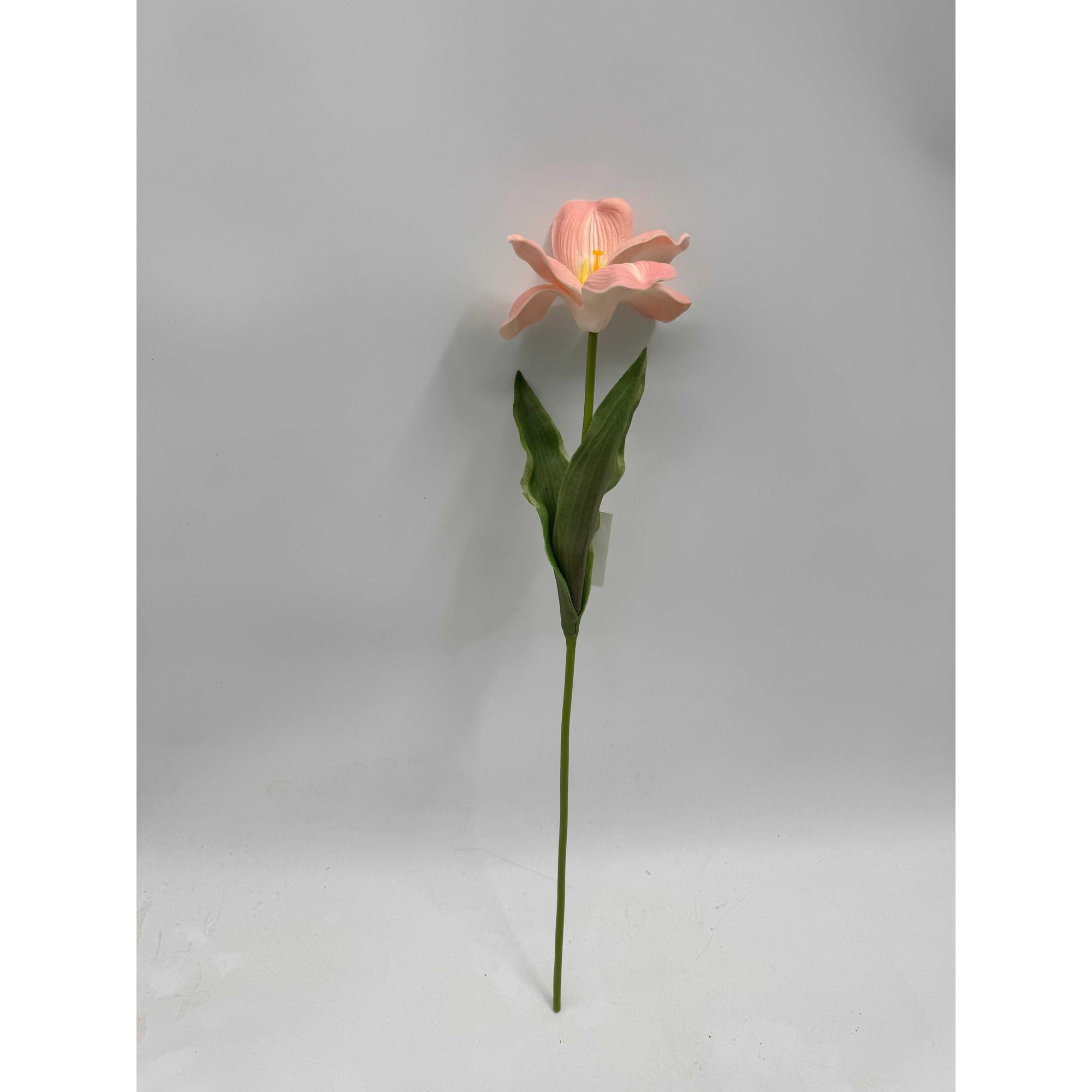 AMARÍLIS 45 CM - 592-530047