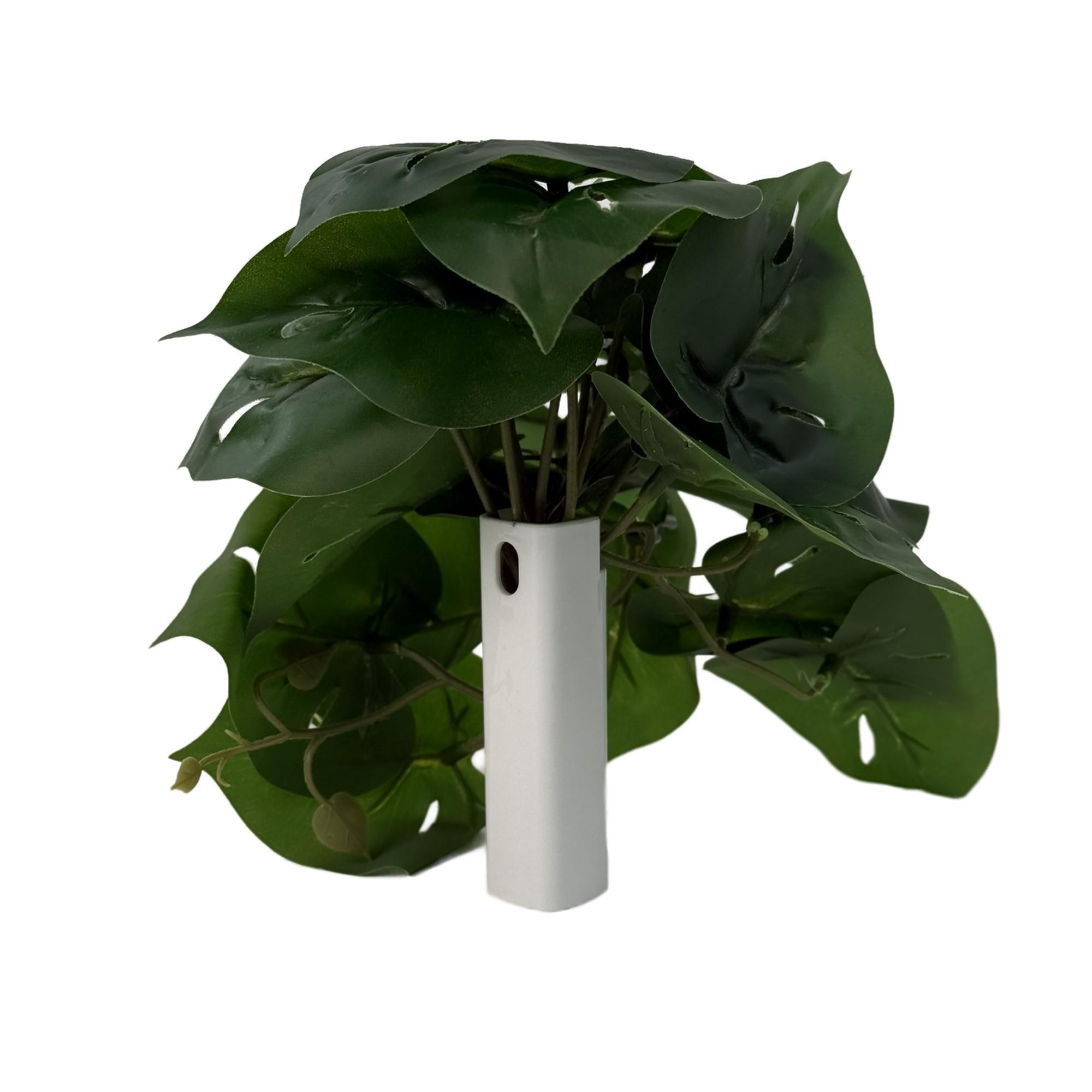 PLANTA C/TUBO PLÁSTICO - 592-540003