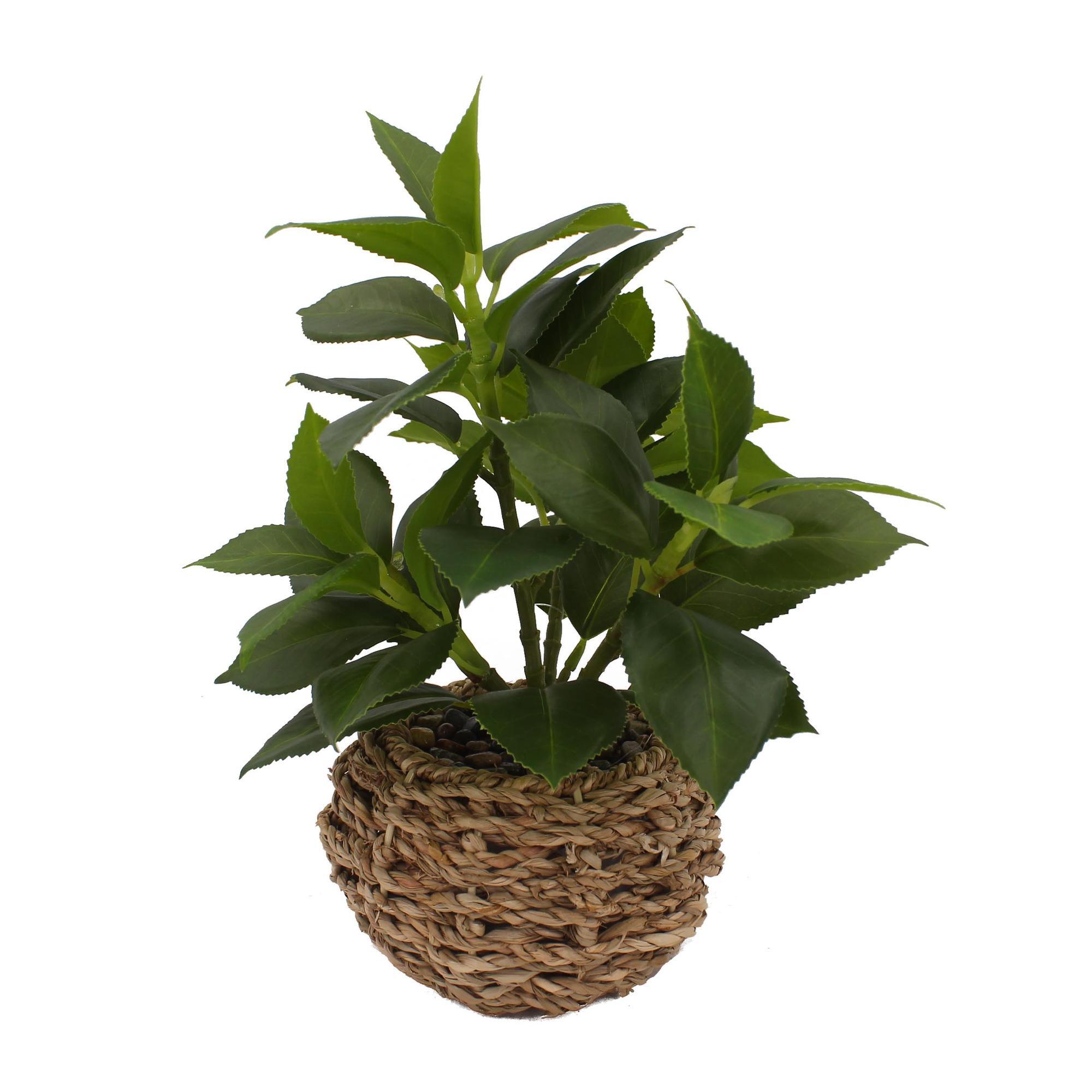 ARTIFICIAL POTTED PLANT - 592-540018