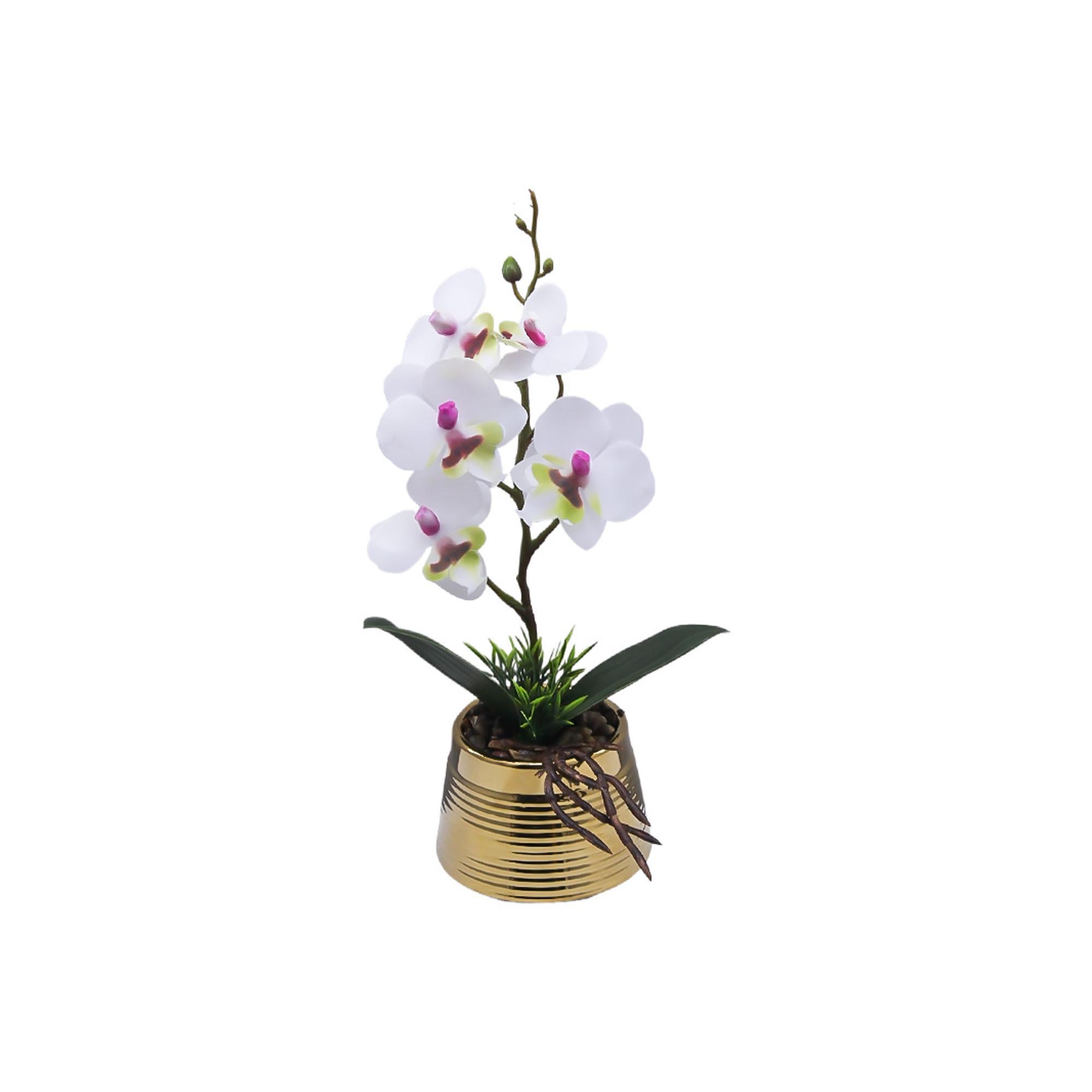 ORQUÍDEA BLANCA C/POTE - 592-540024