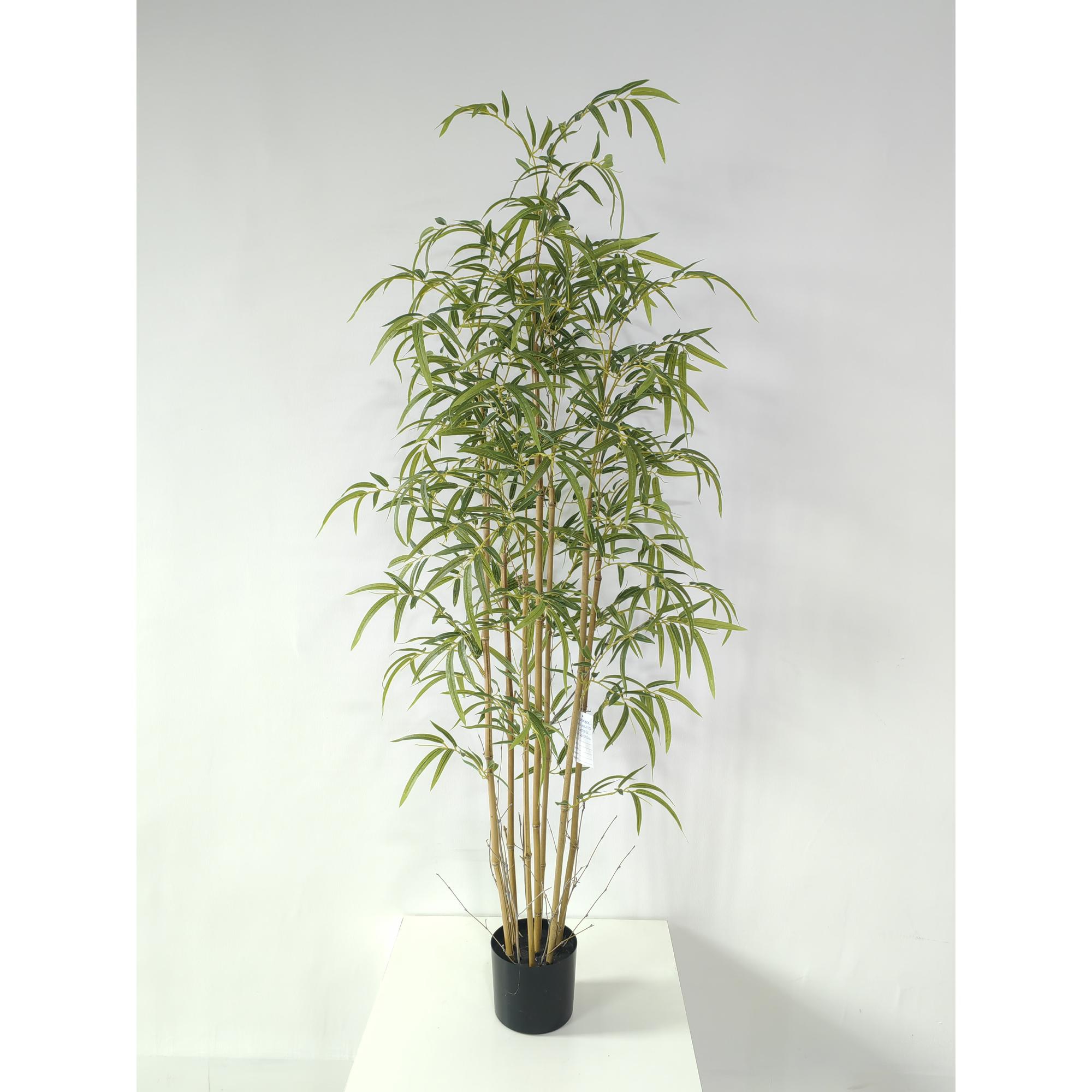 BAMBU 50X50X150CM - 592-550007