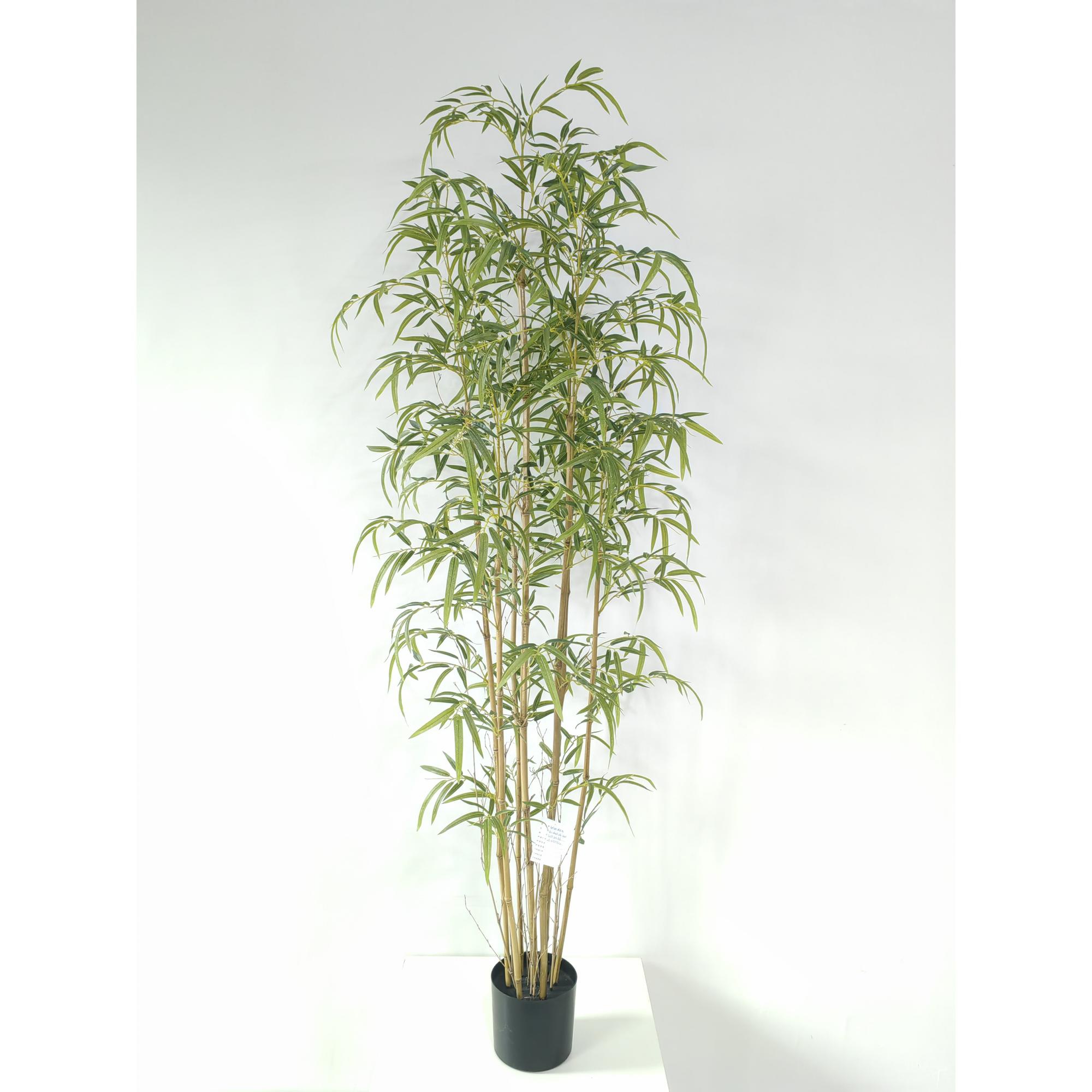 BAMBU 60X60X180CM - 592-550008