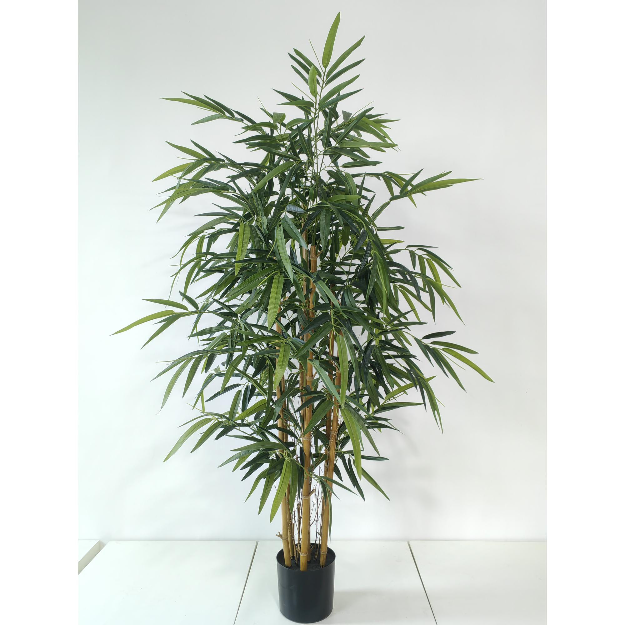 BAMBÚ 80X75X120CM - 592-550010