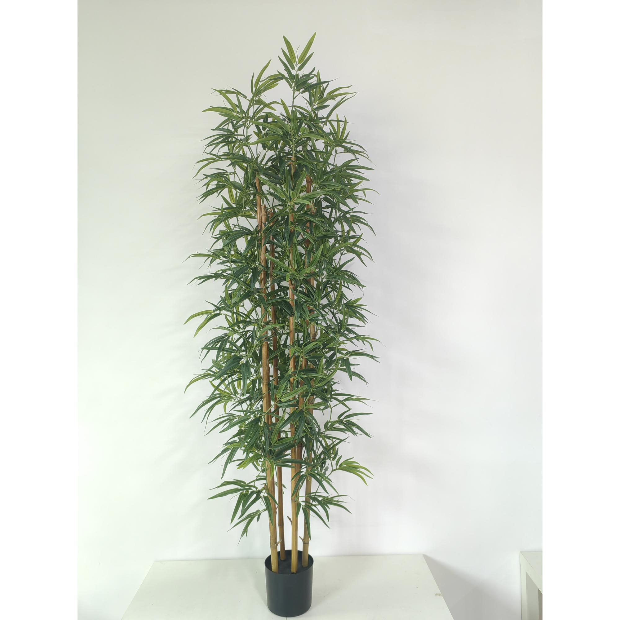 BAMBU 65X65X180 CM - 592-550012